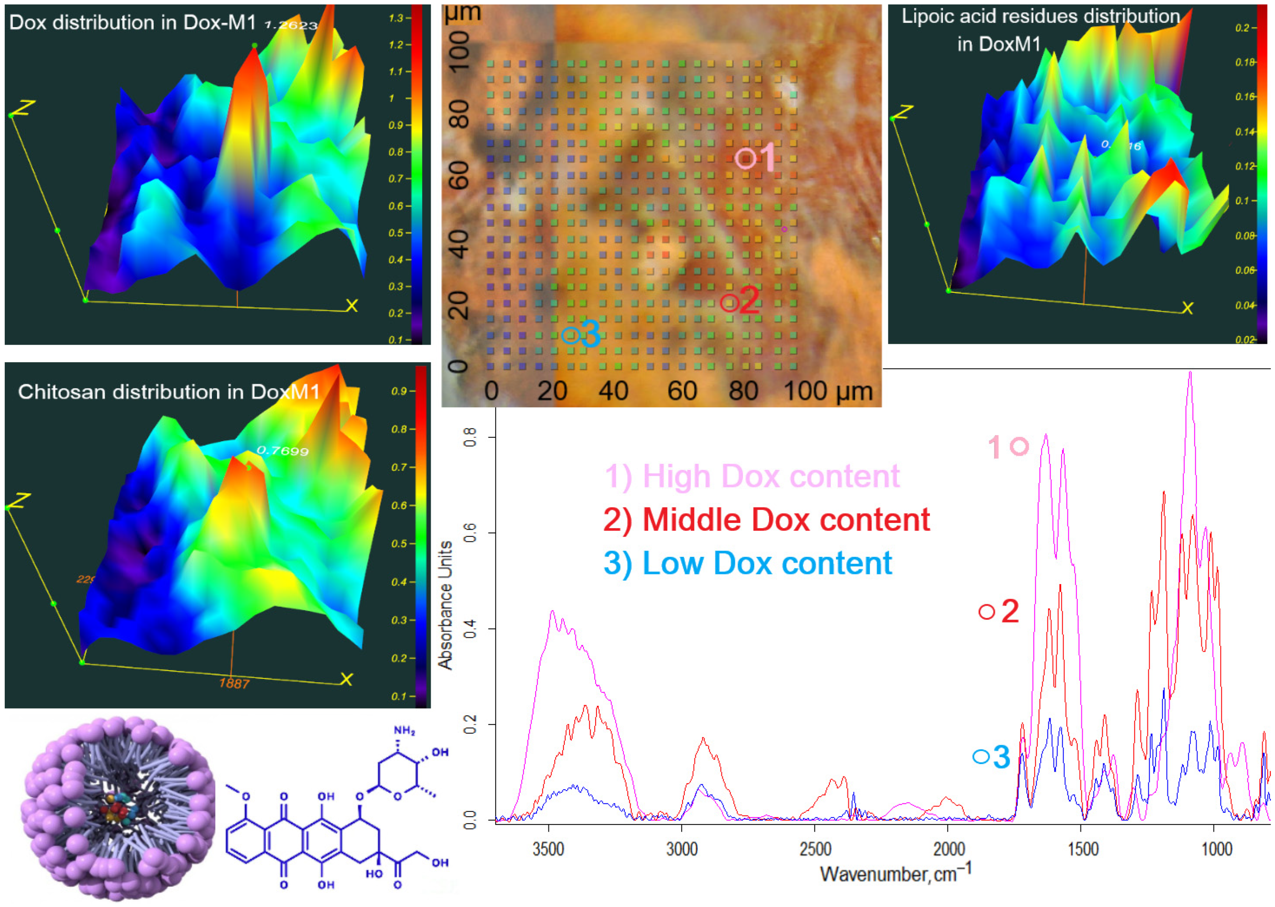 Polymers 16 02132 g003