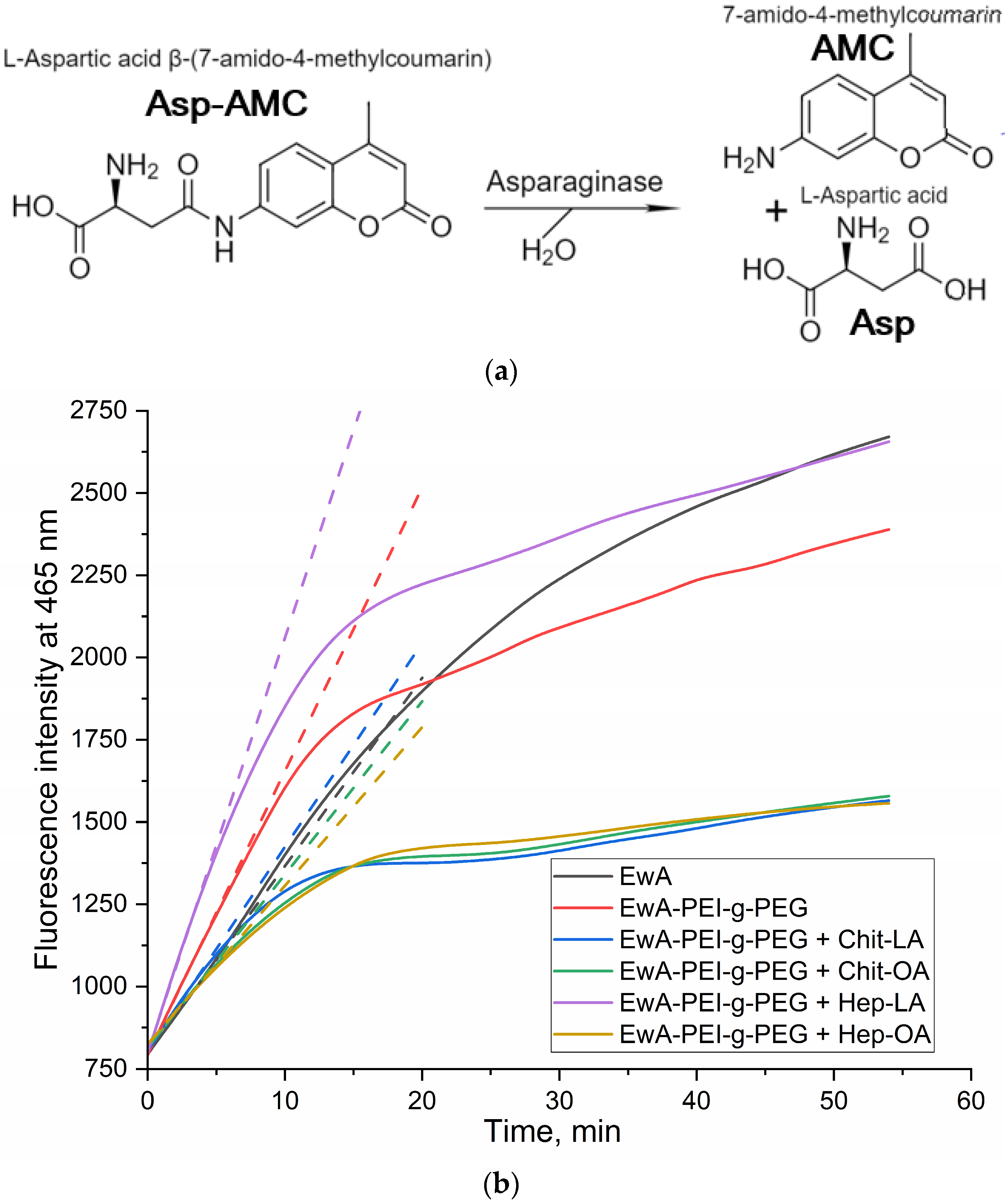 Polymers 16 02132 g005