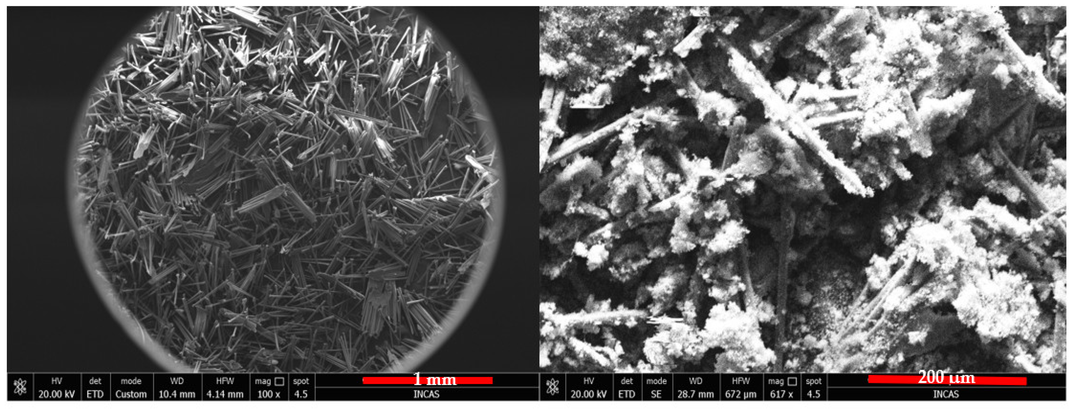 Polymers 16 02136 g011