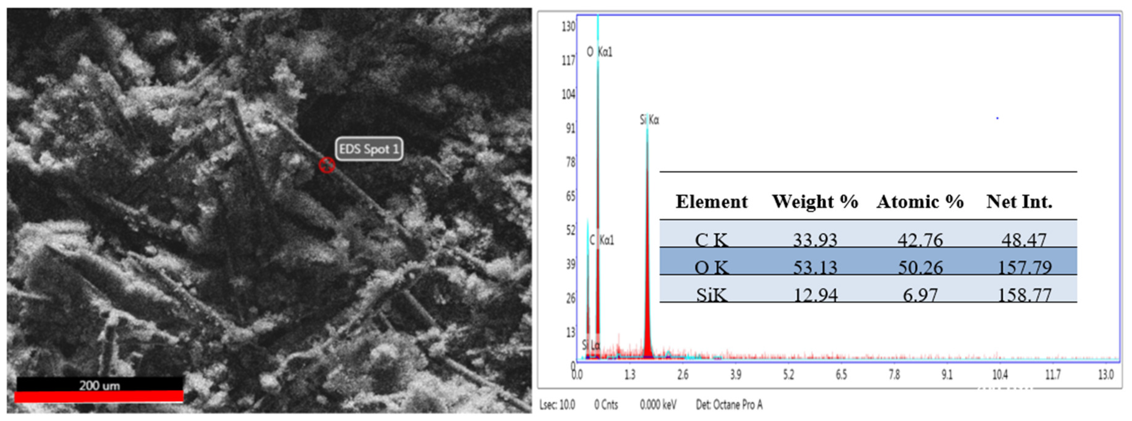 Polymers 16 02136 g012