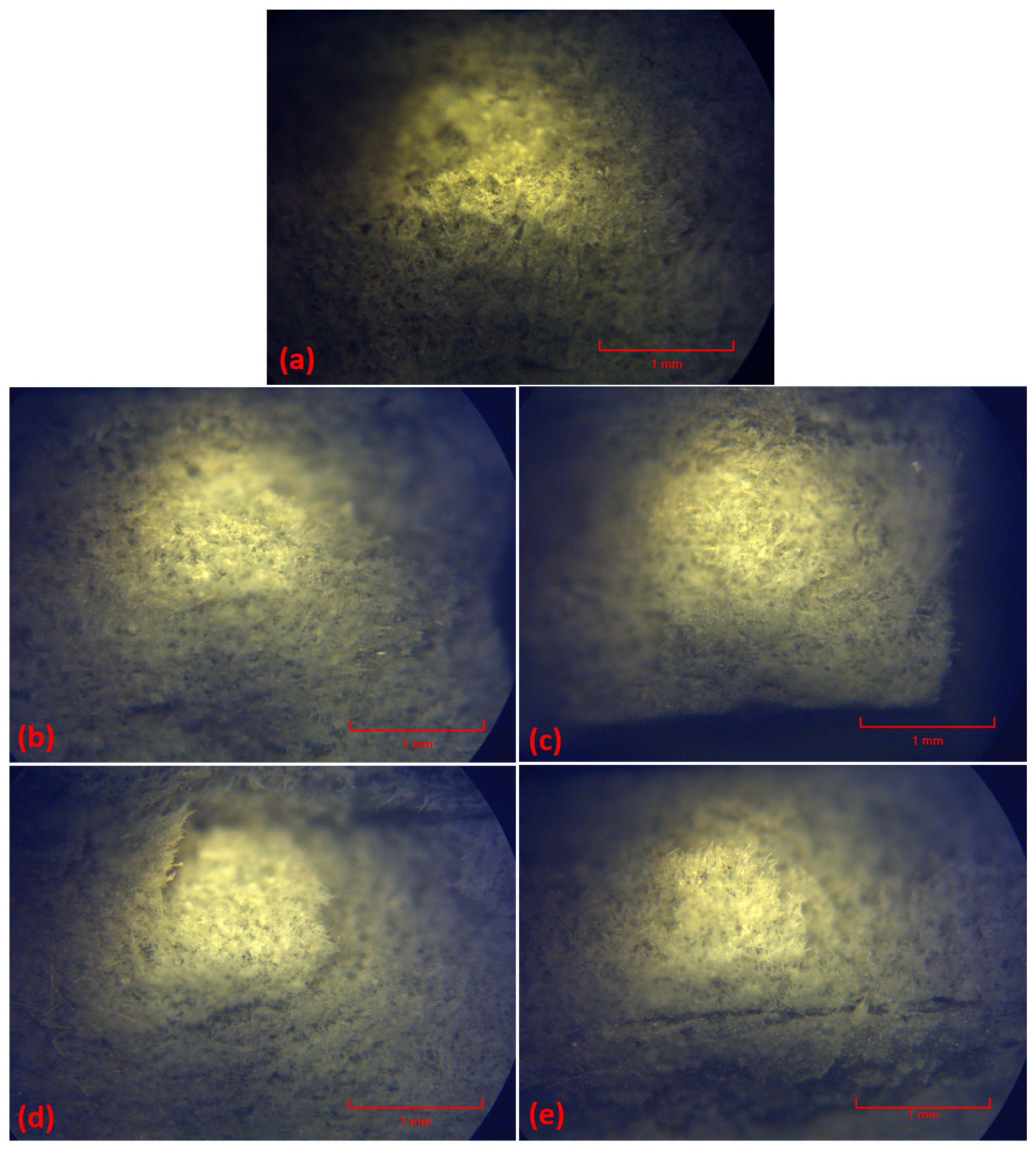 Polymers 16 02136 g026