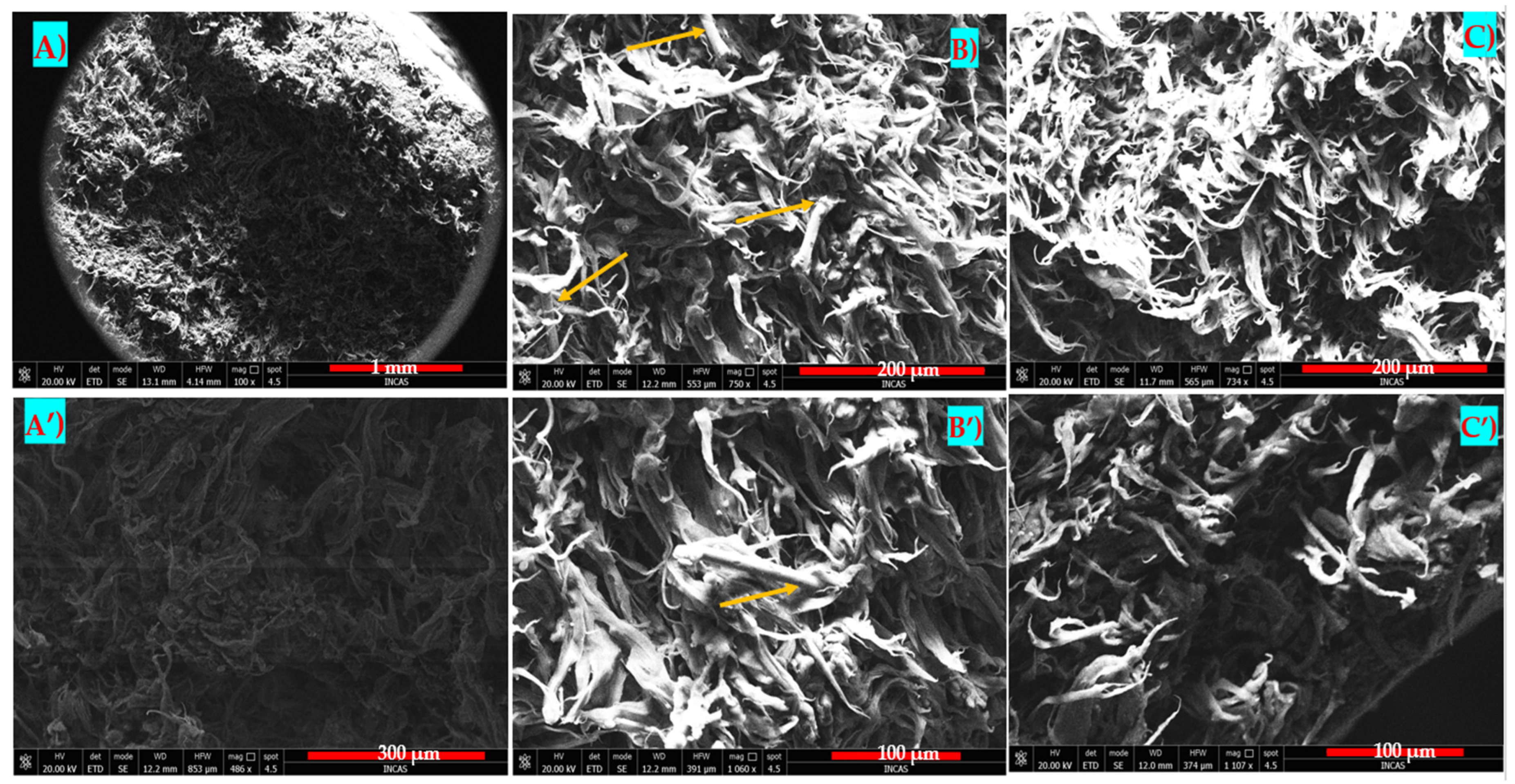 Polymers 16 02136 g027