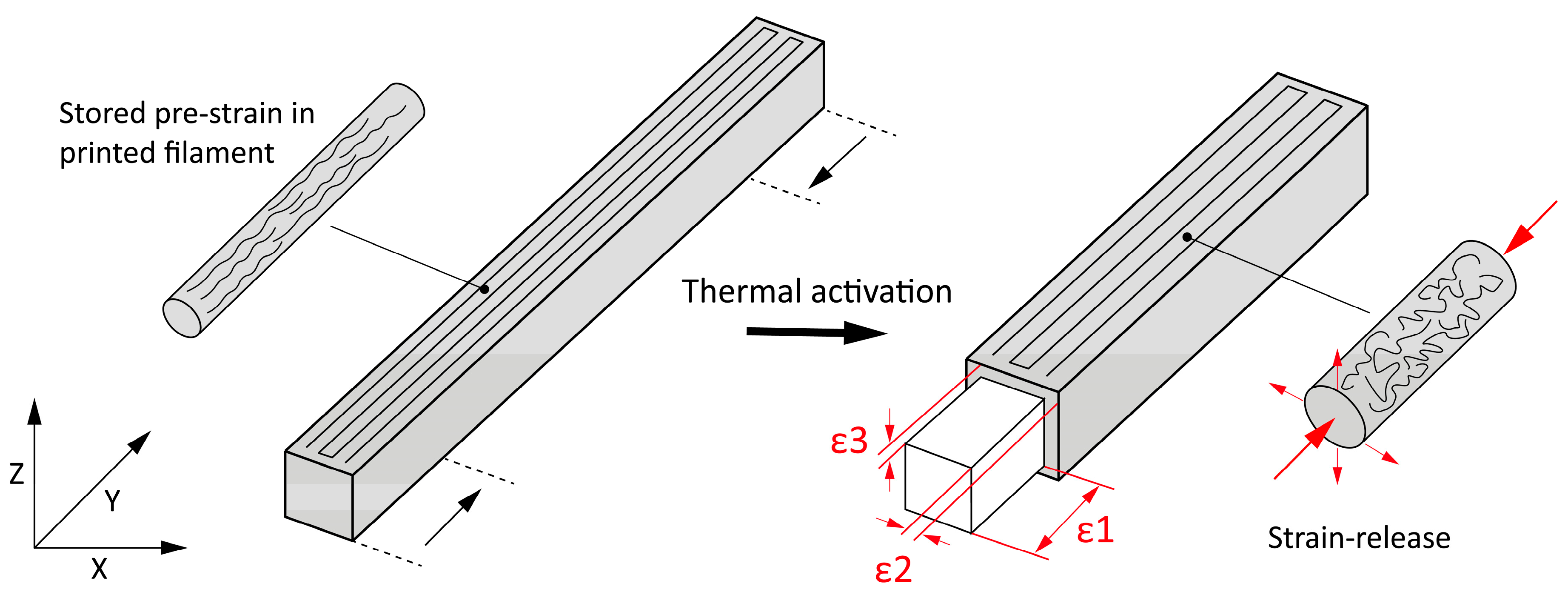 Polymers 16 02138 g001
