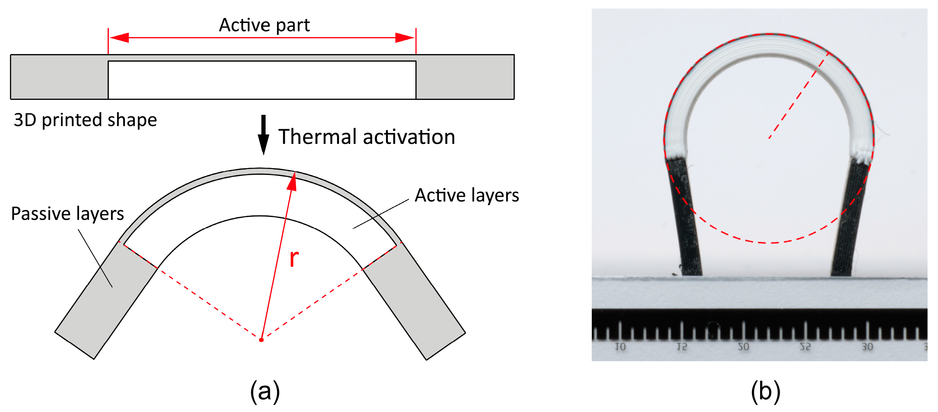 Polymers 16 02138 g003