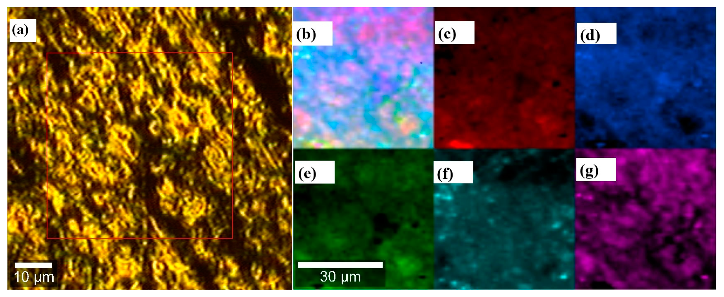 Polymers 16 02148 g007