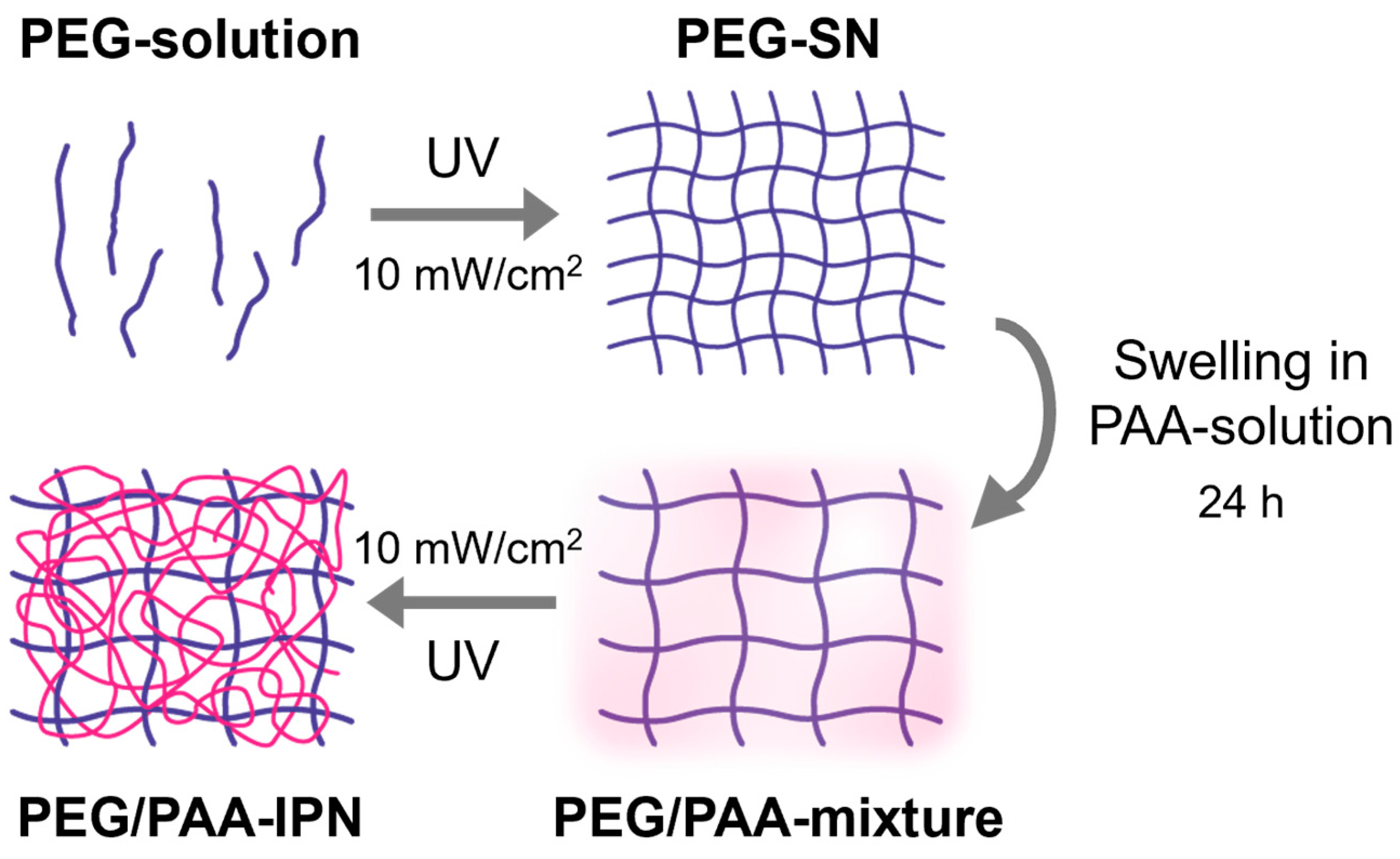 Polymers 16 02149 g002