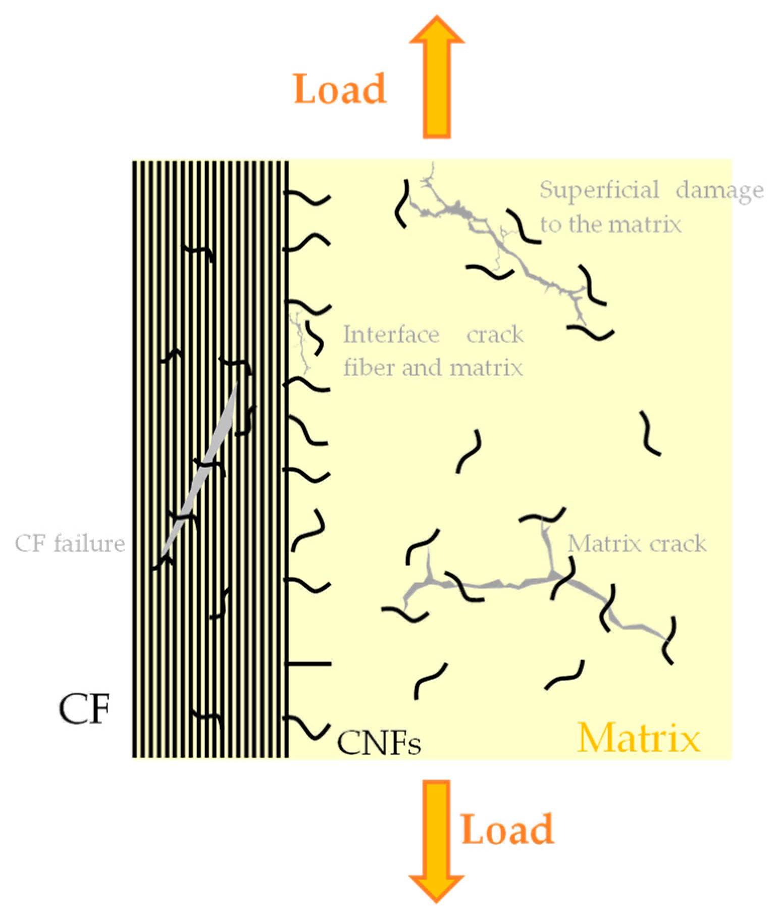Polymers 16 02152 g003