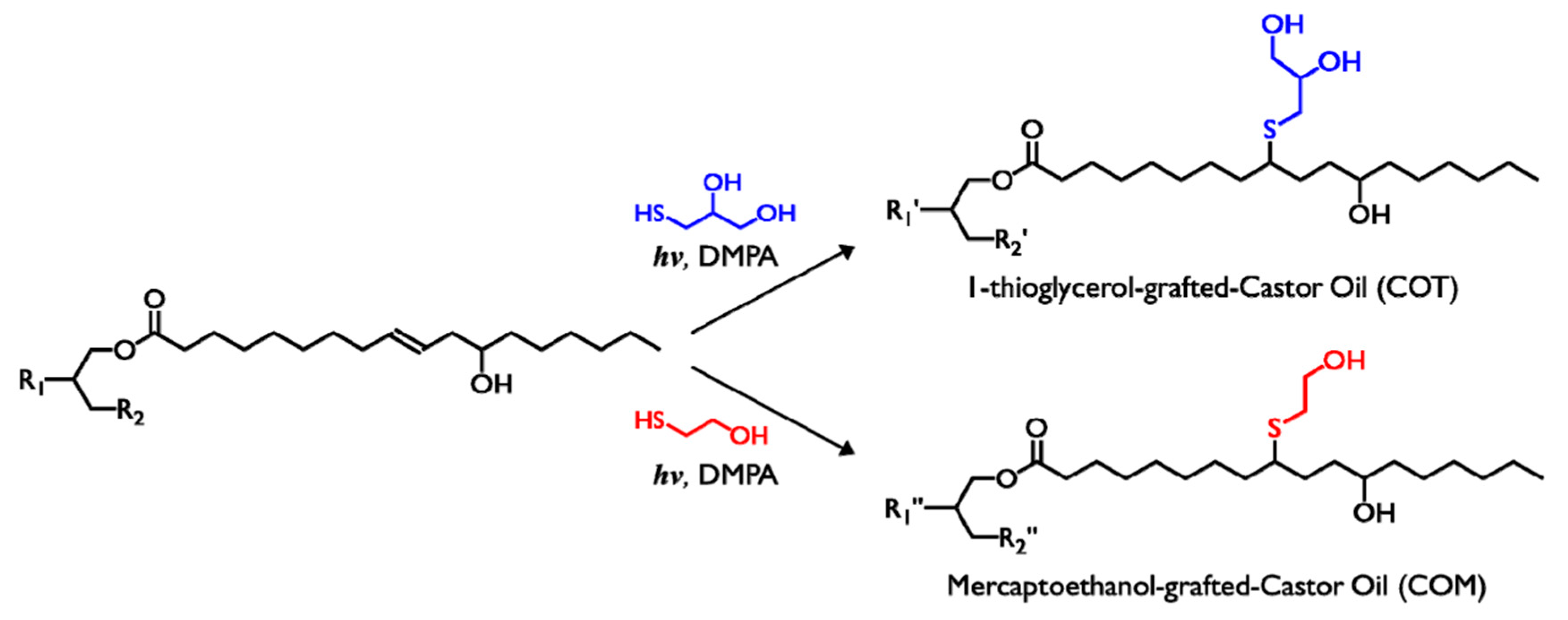 Polymers 16 02155 g002