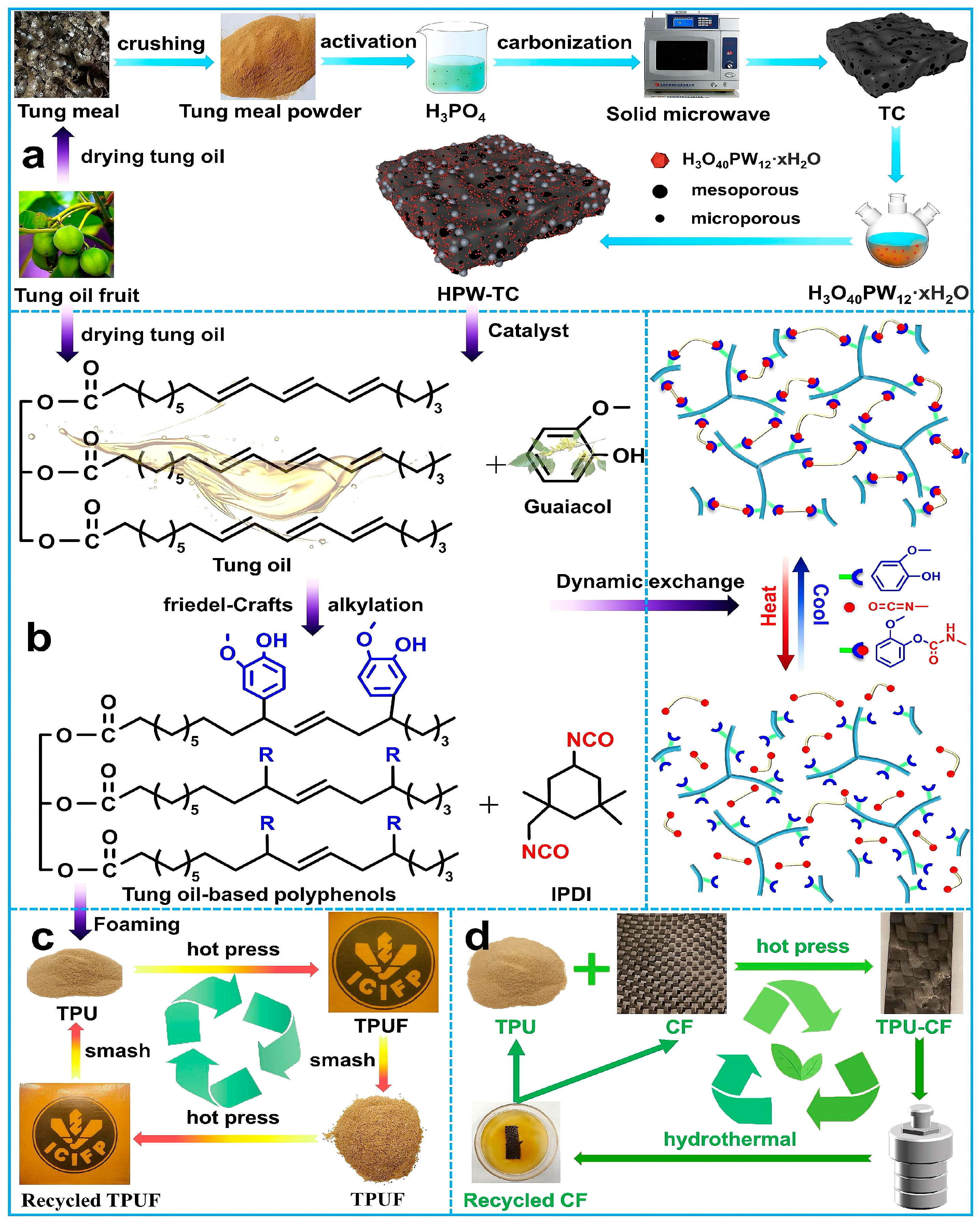 Polymers 16 02155 g004