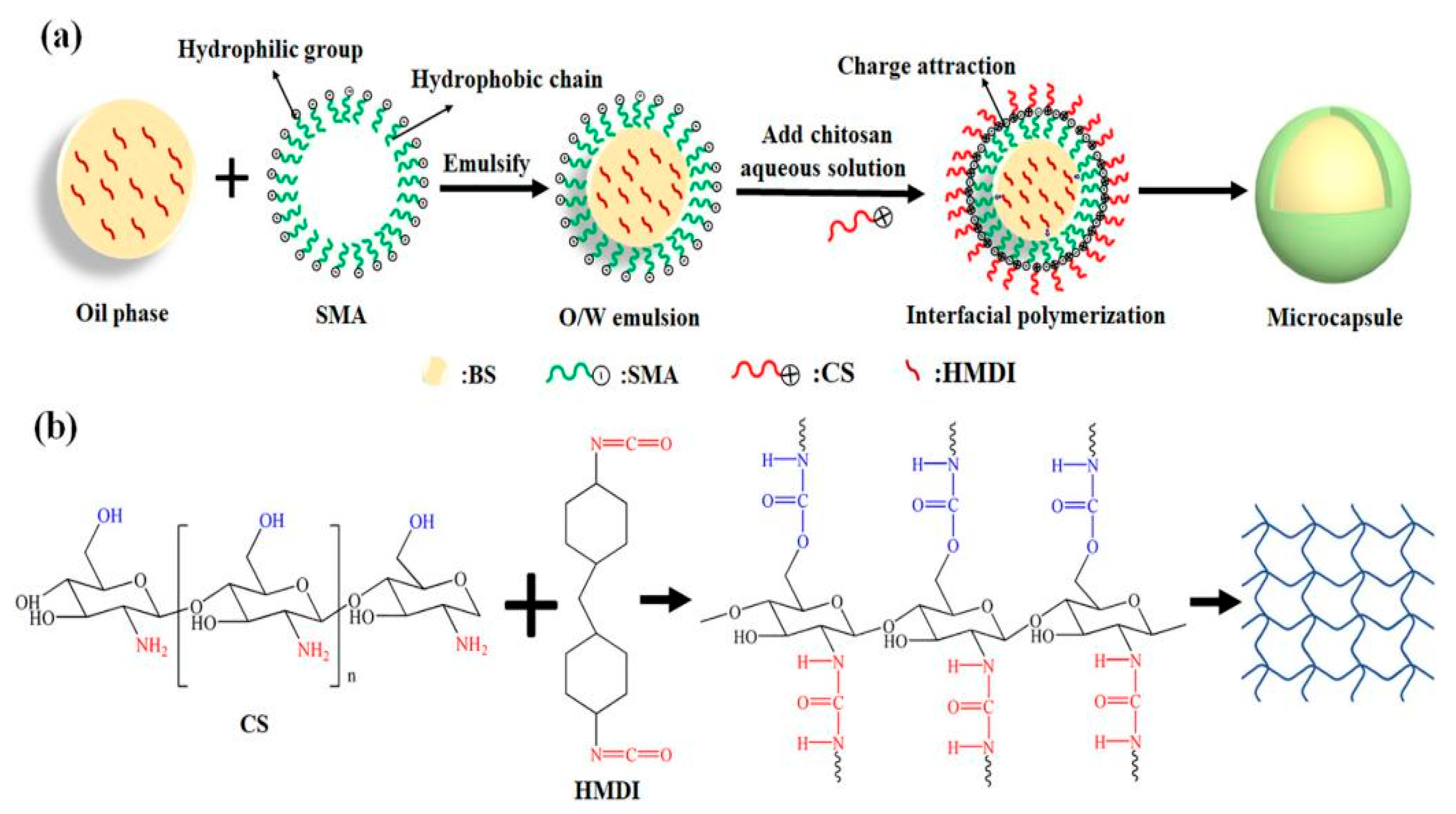 Polymers 16 02155 g007