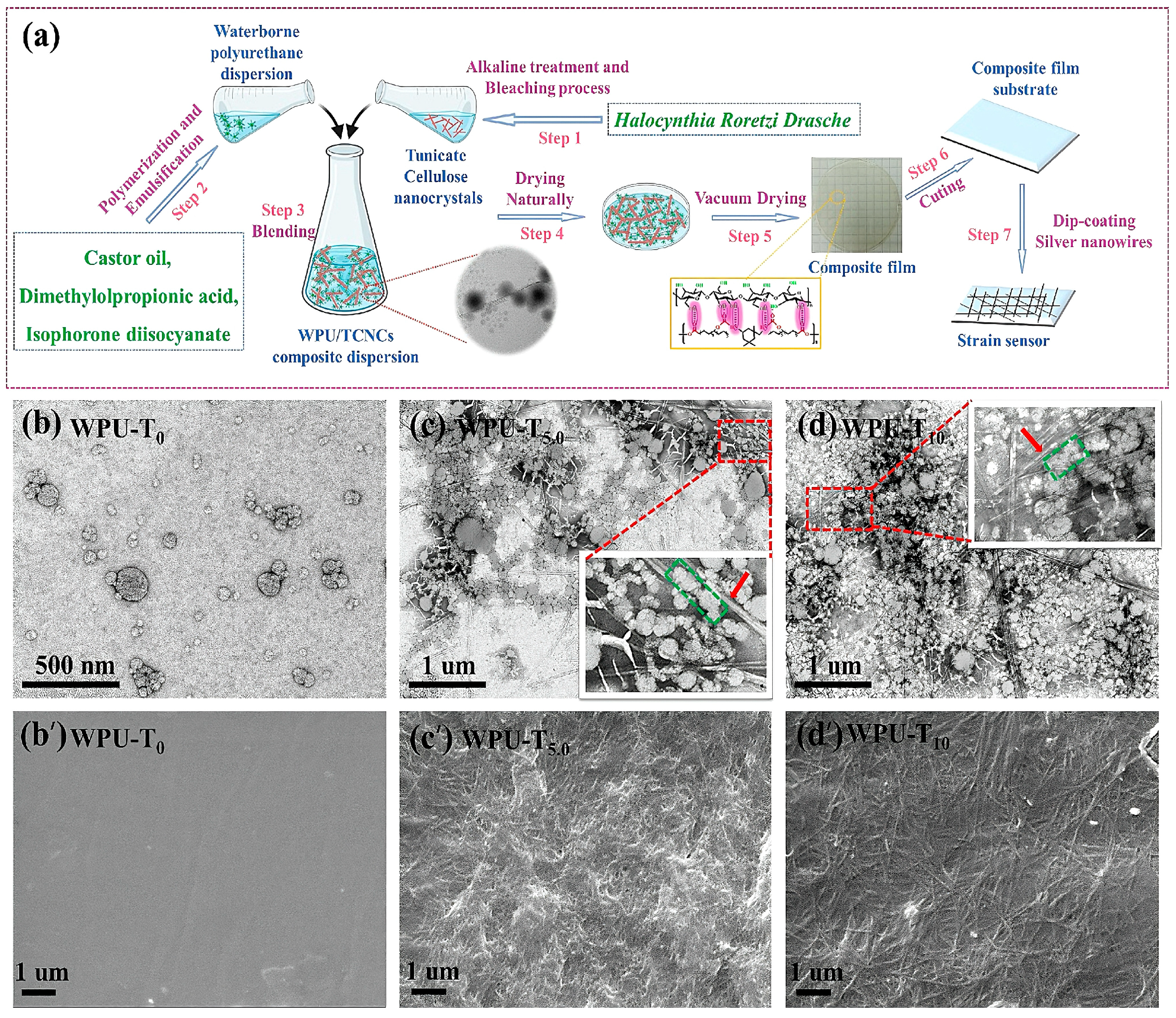 Polymers 16 02155 g012