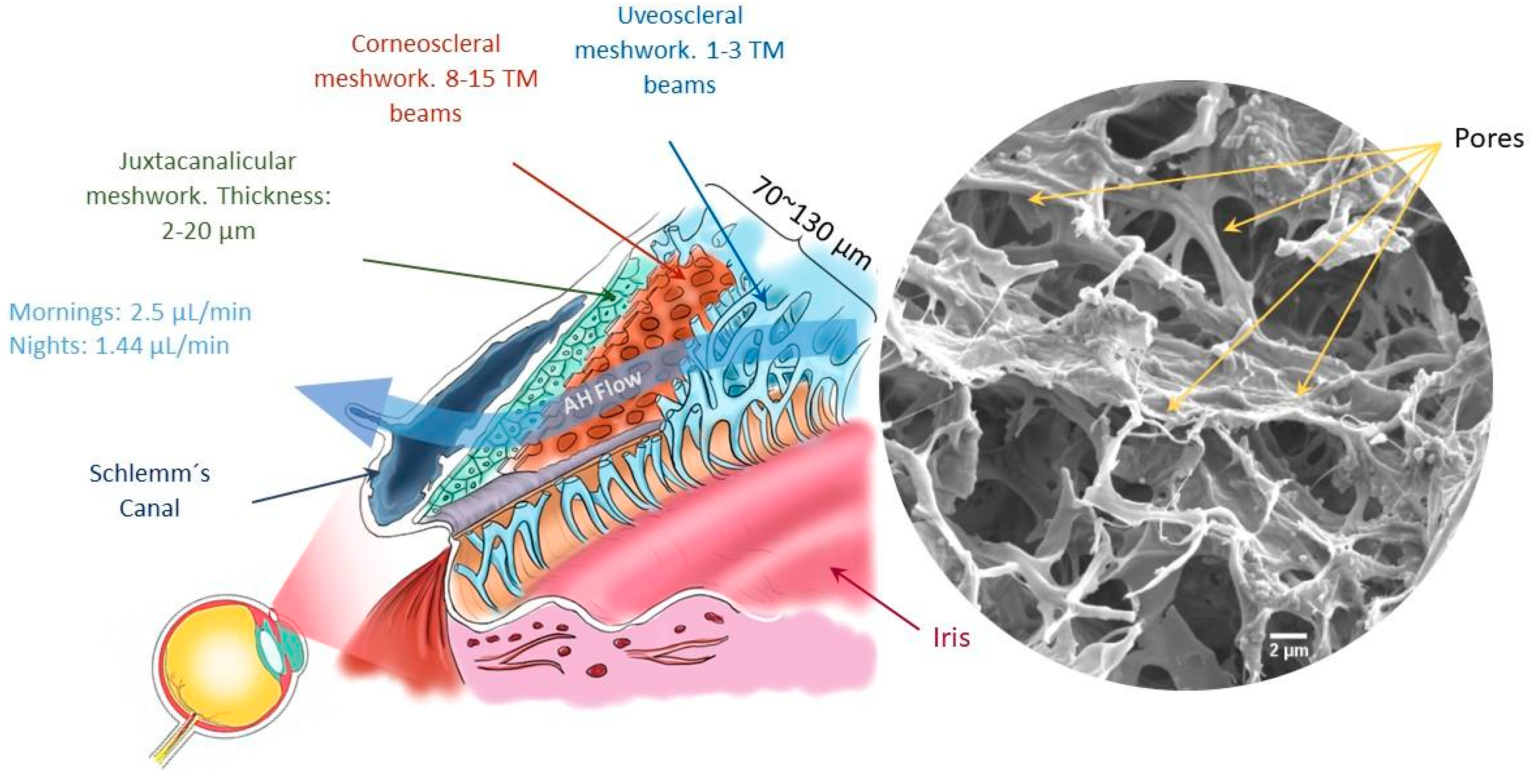 Polymers 16 02162 g001
