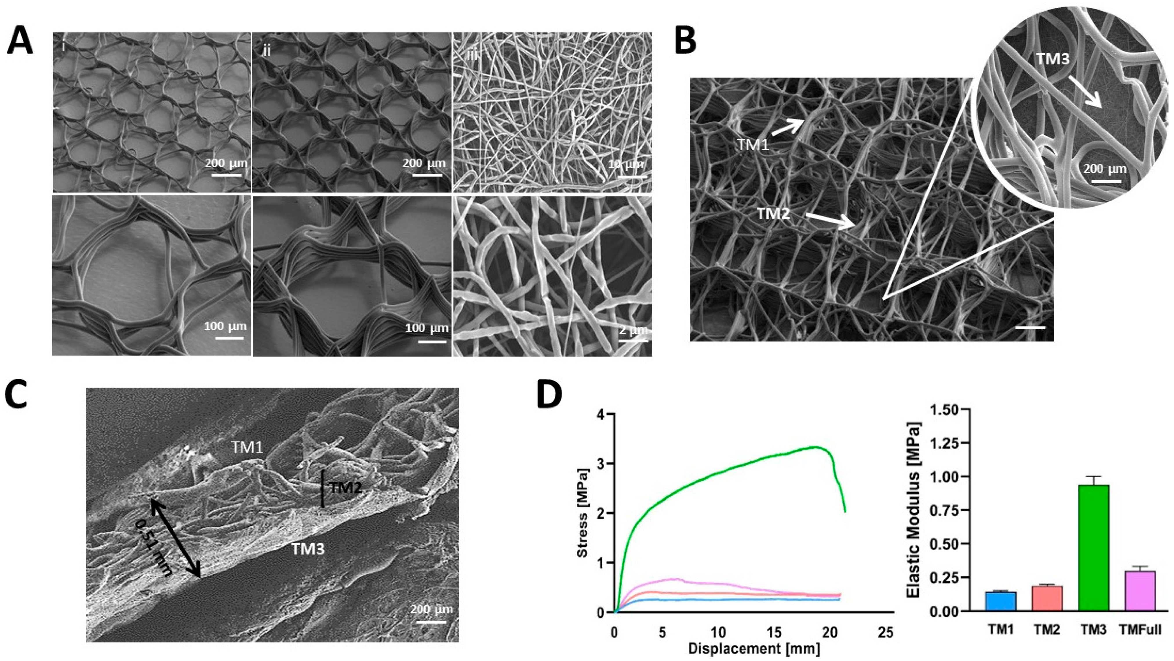 Polymers 16 02162 g002