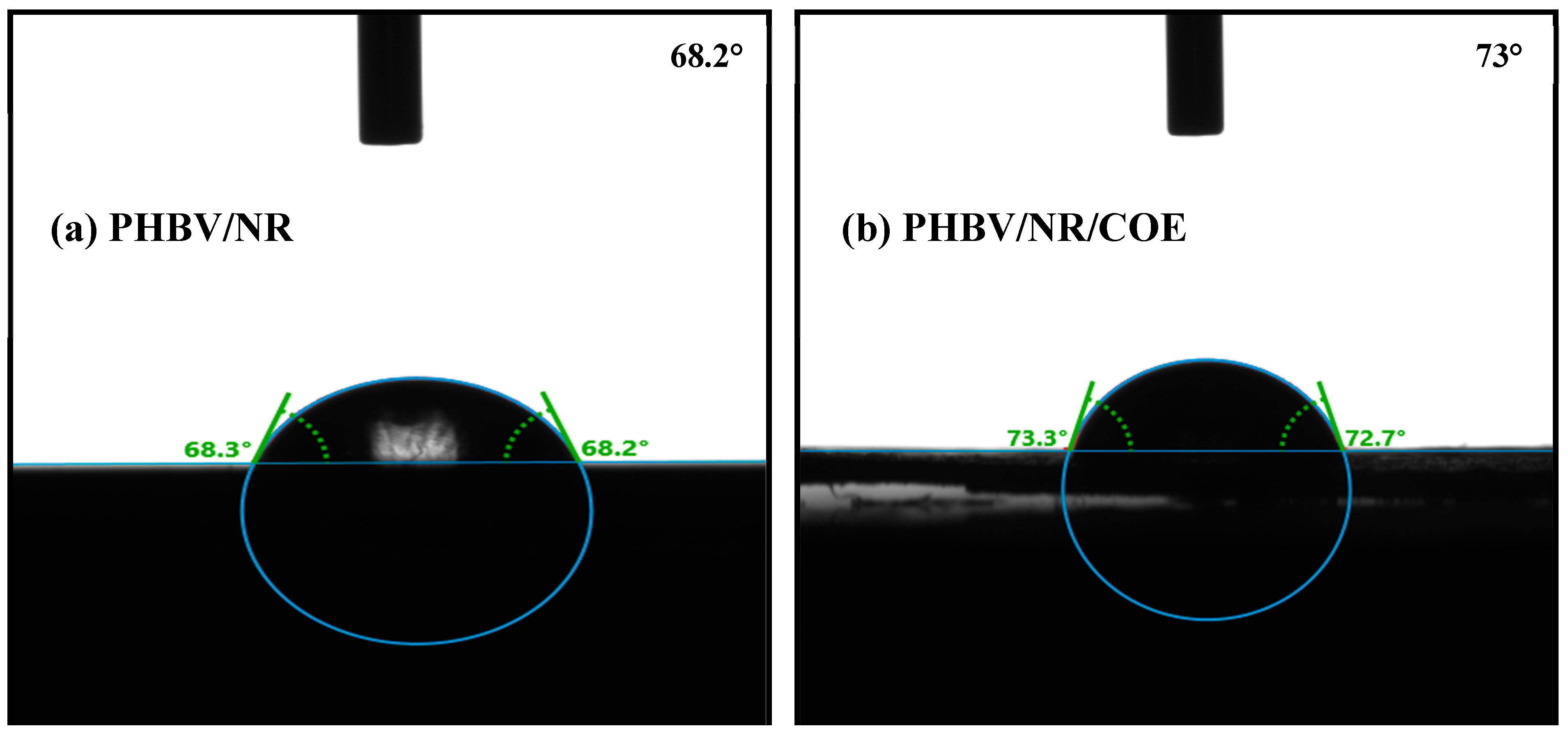 Polymers 16 02164 g008