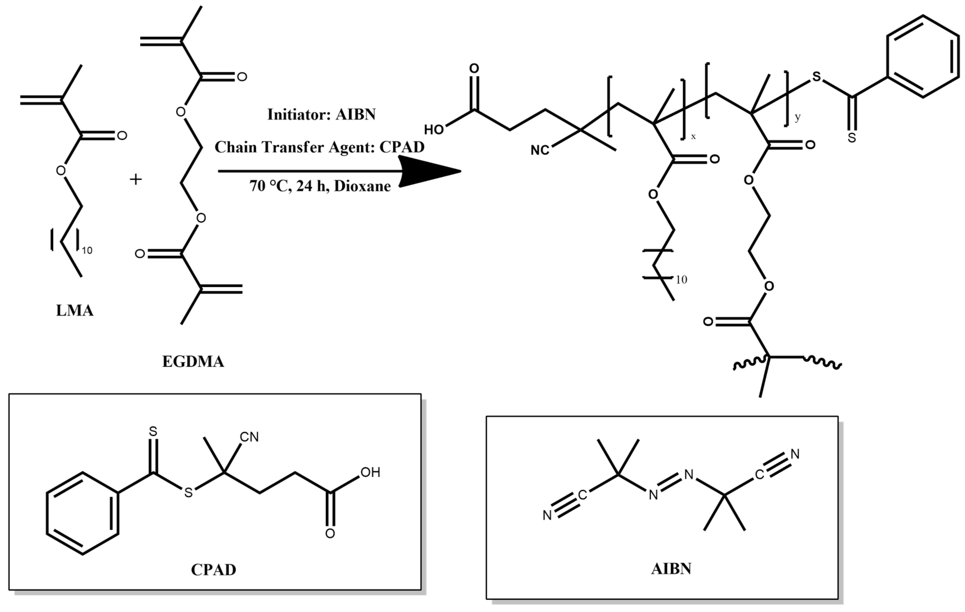 Polymers 16 02166 g001
