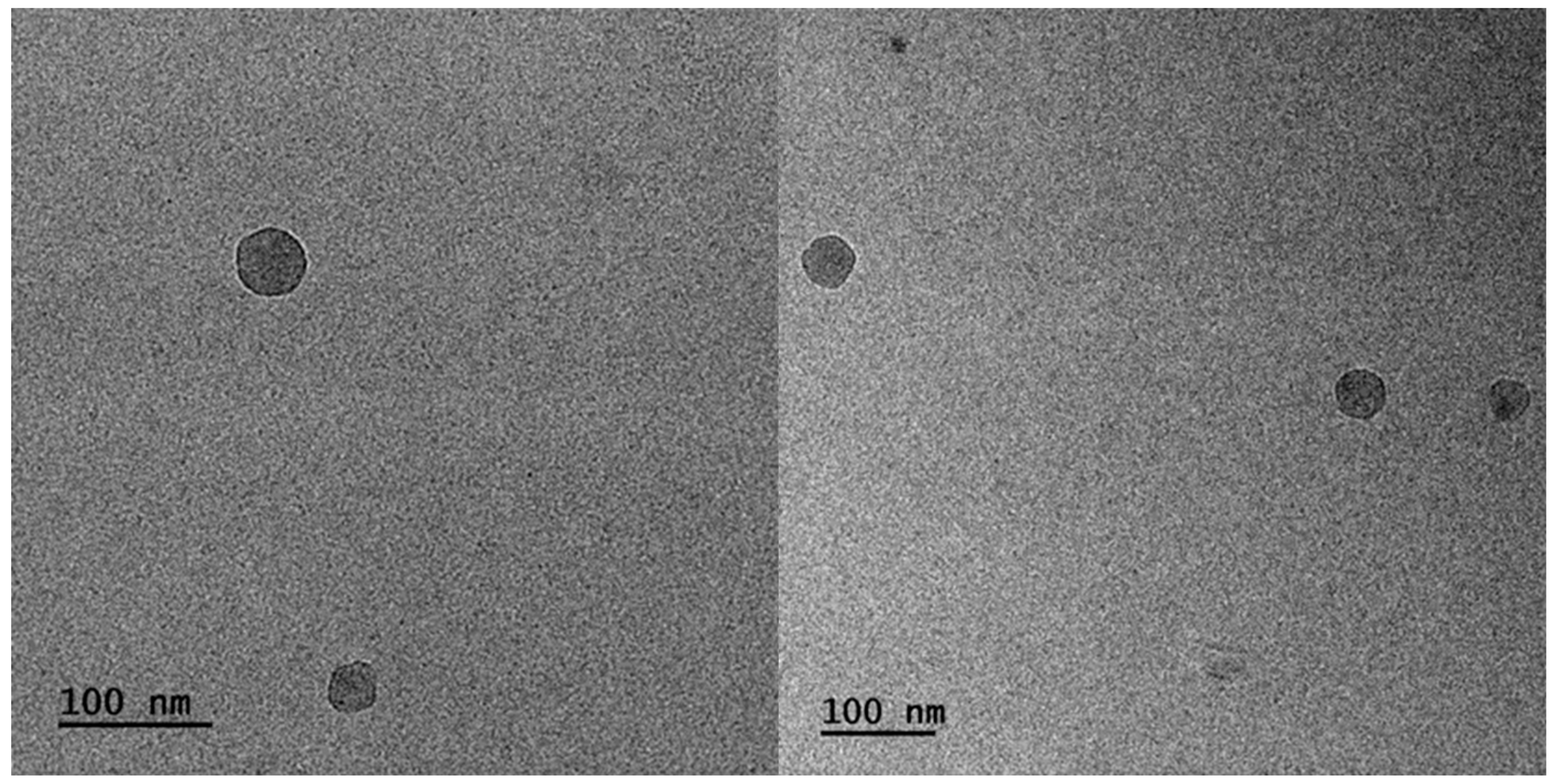 Polymers 16 02166 g011