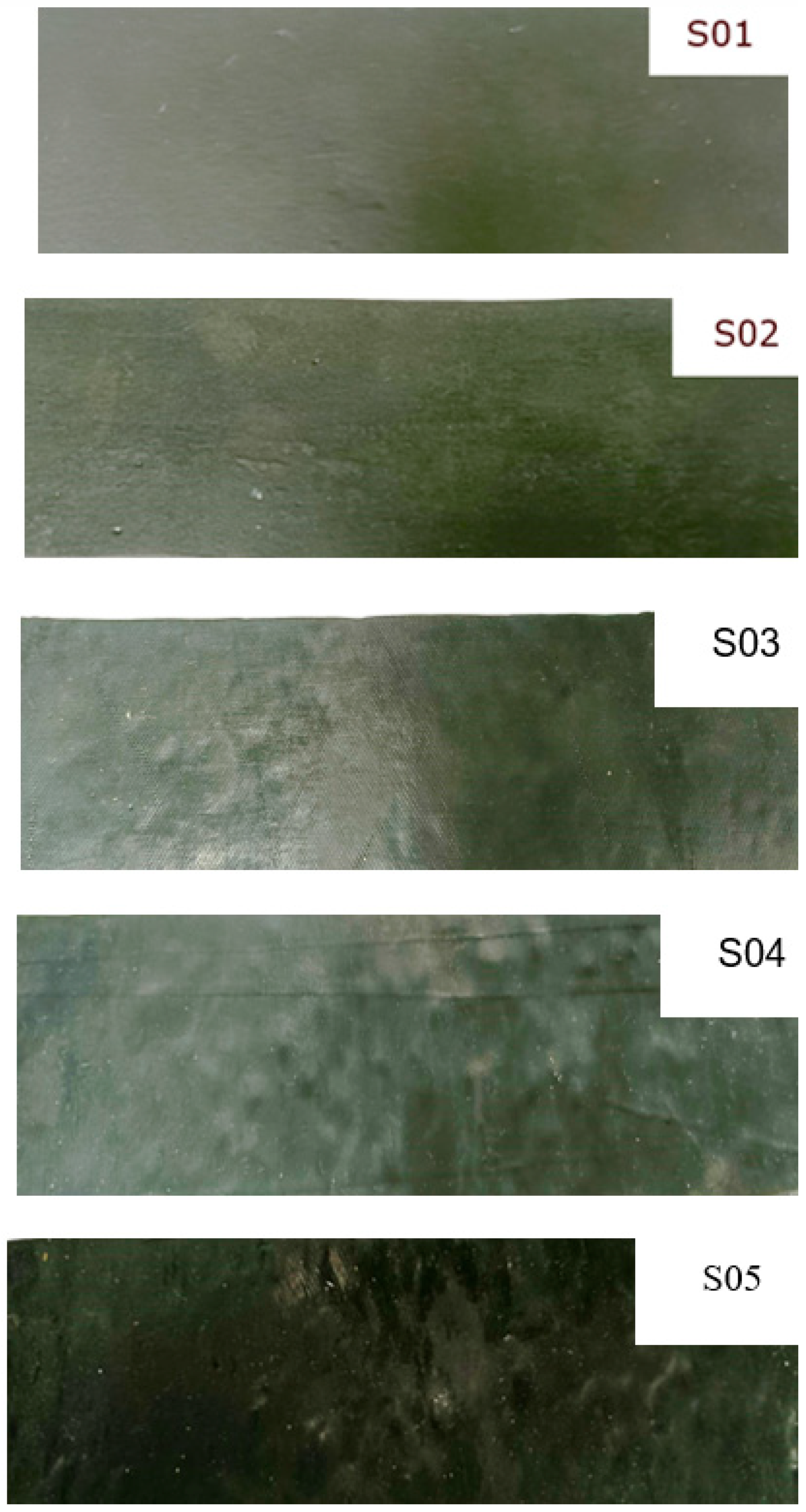 Polymers 16 02167 g002