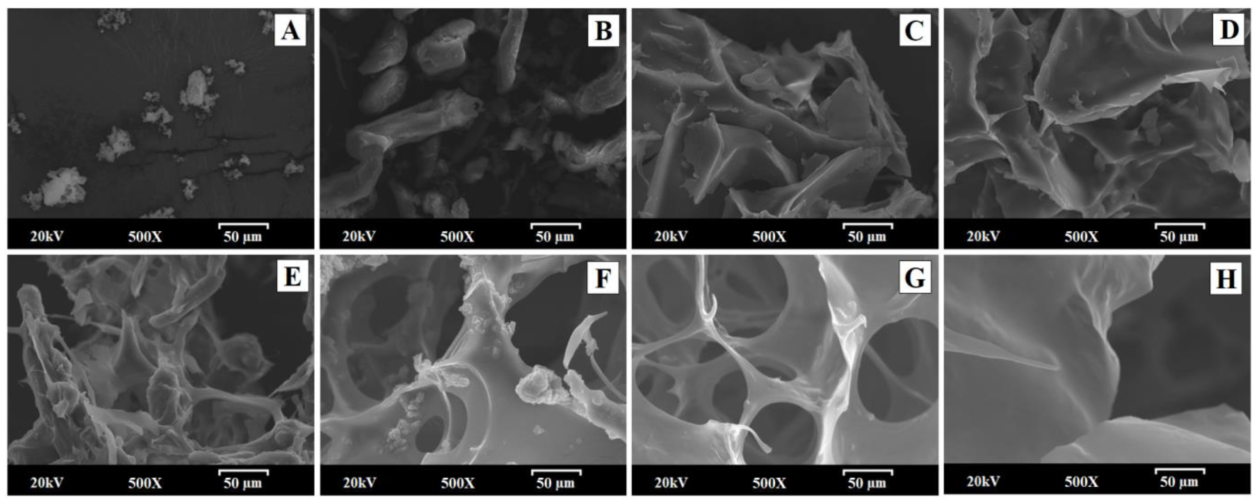 Polymers 16 02174 g001