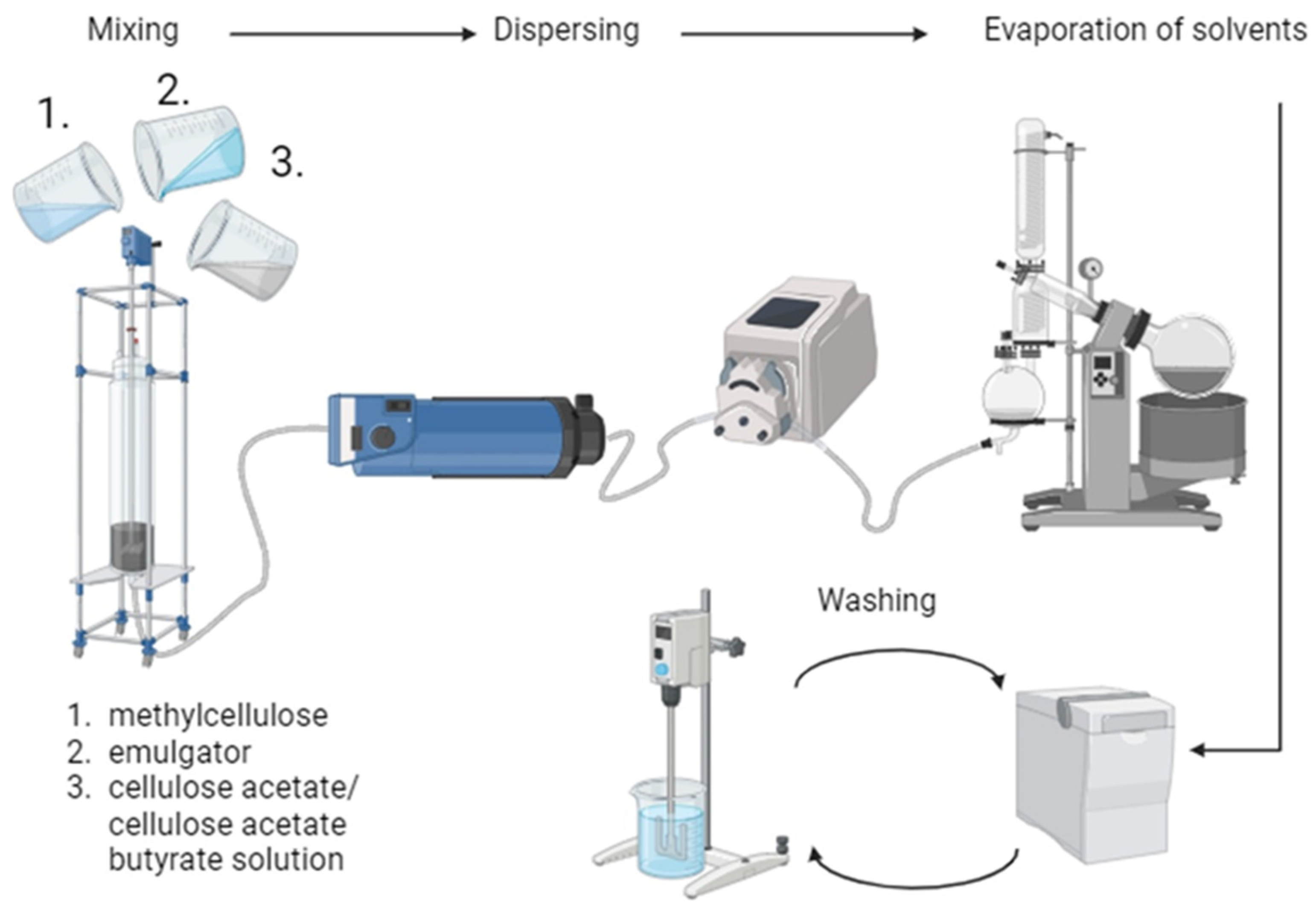 Polymers 16 02176 g002