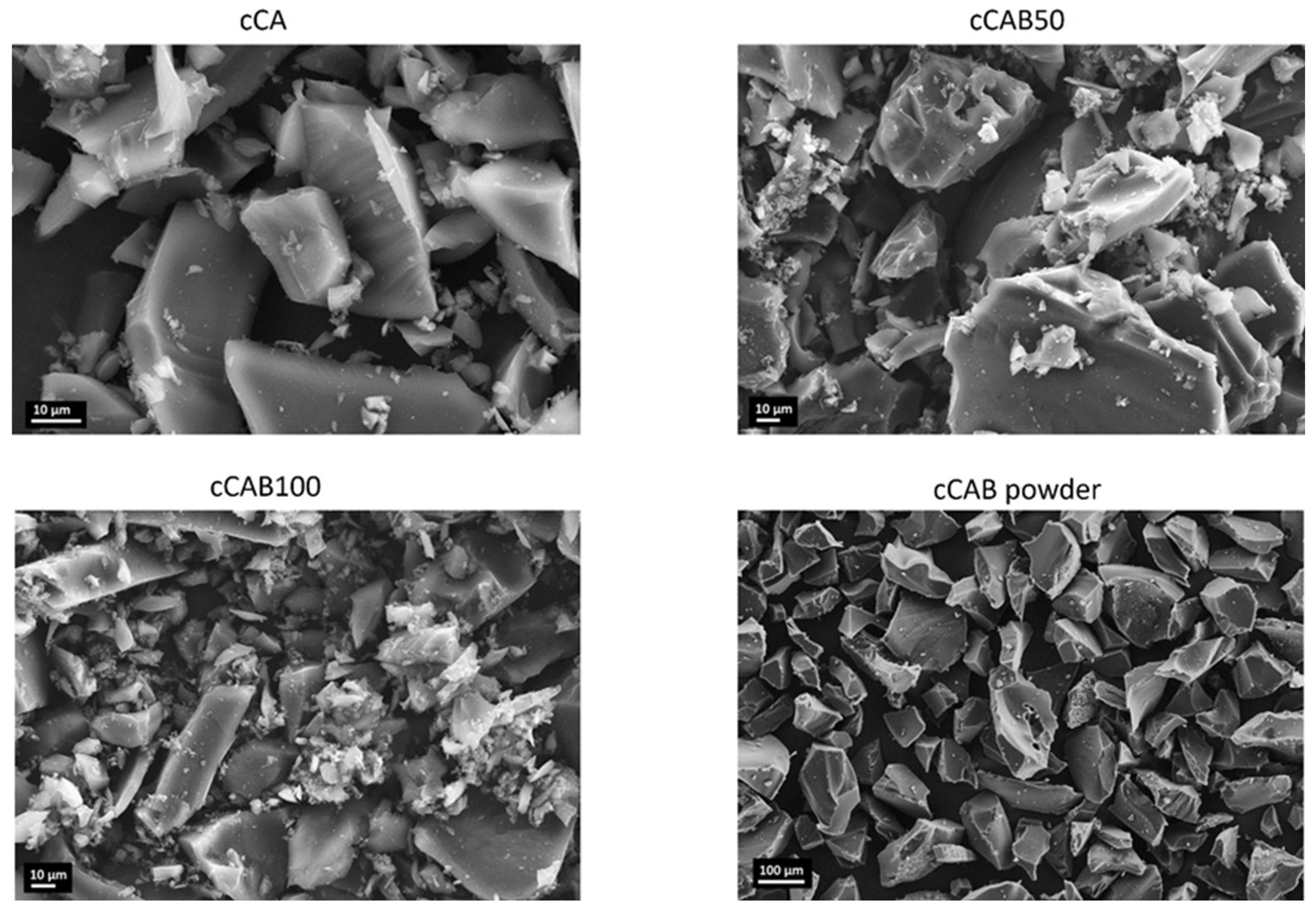 Polymers 16 02176 g009