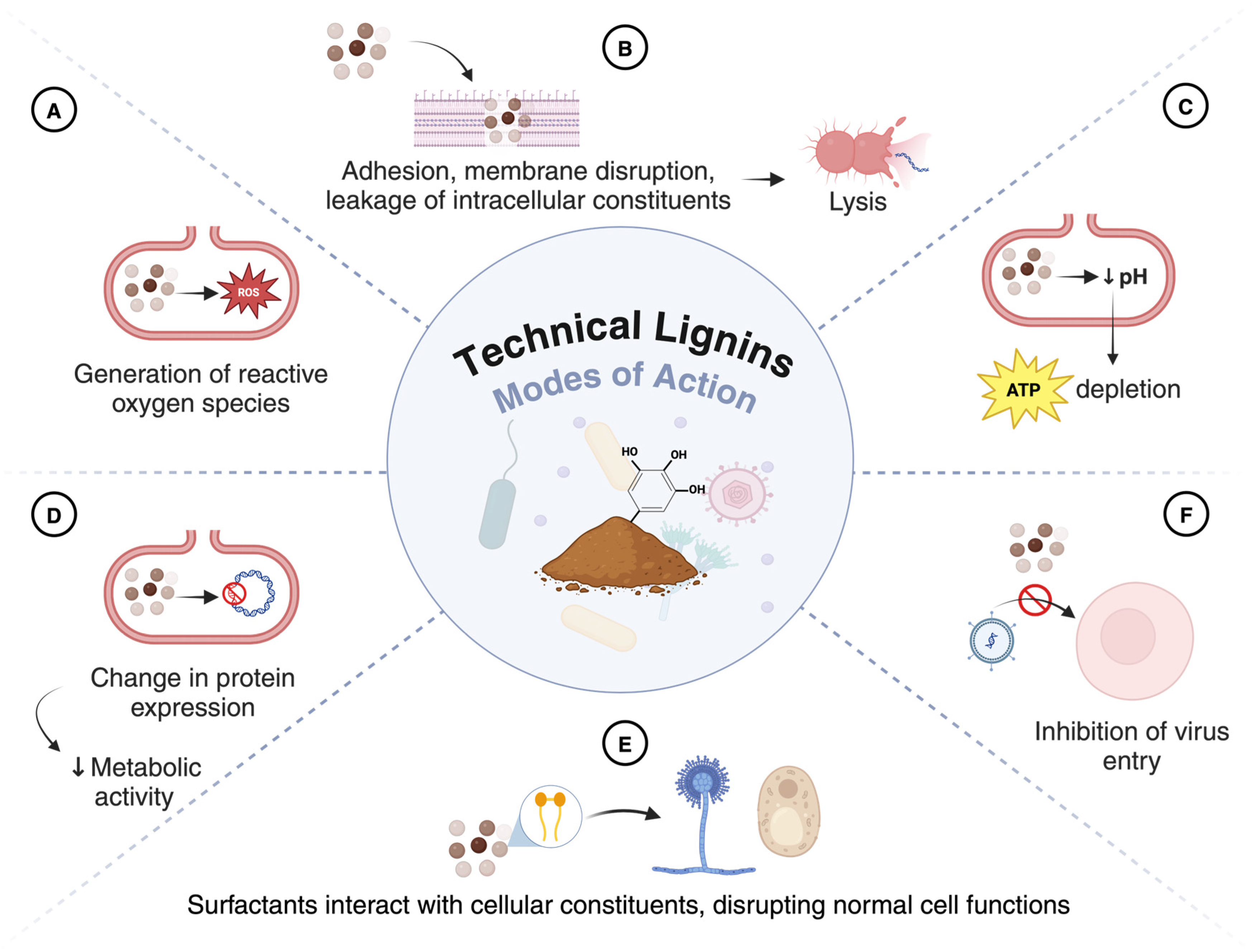 Polymers 16 02181 g002
