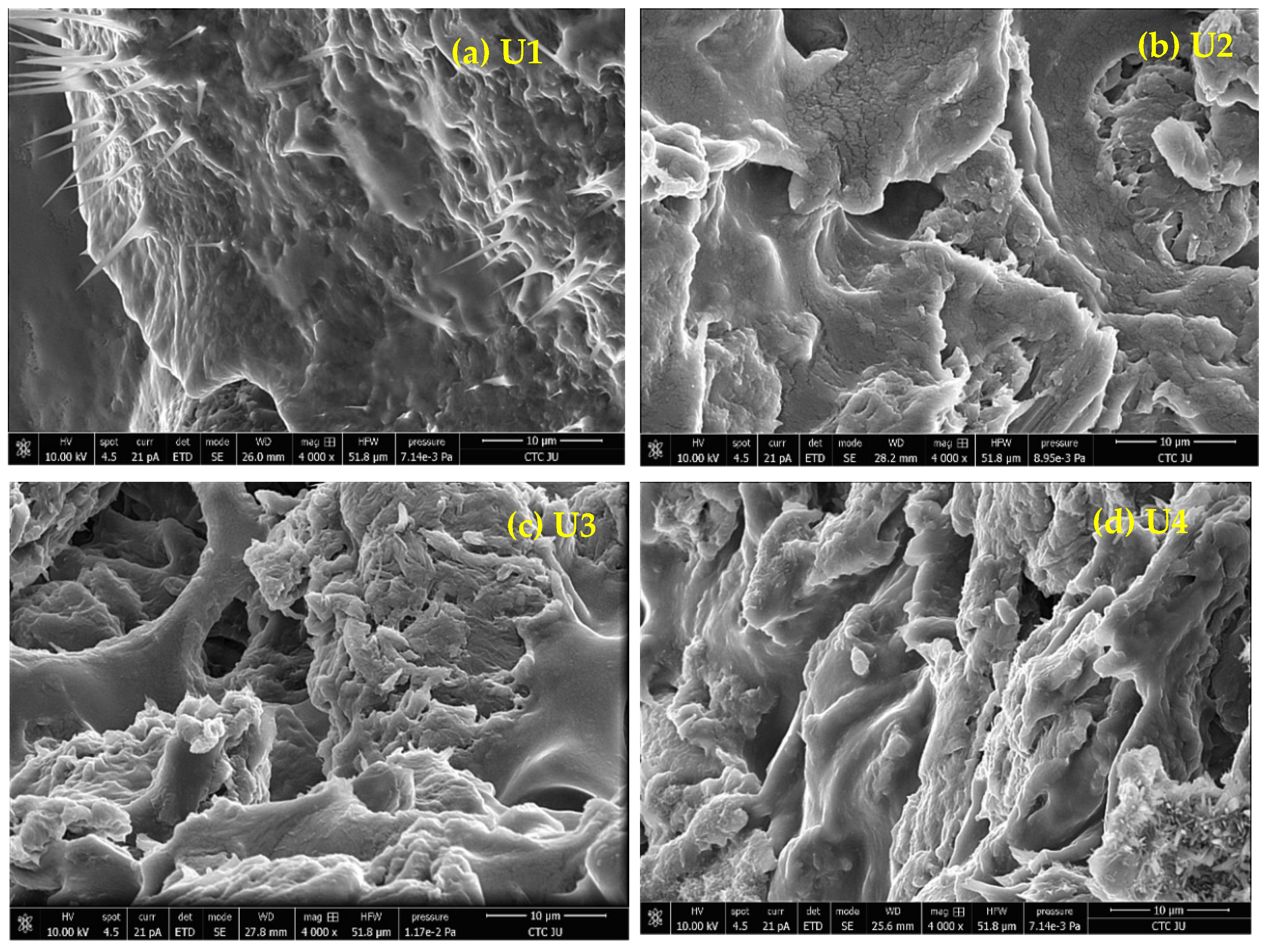 Polymers 16 02183 g003