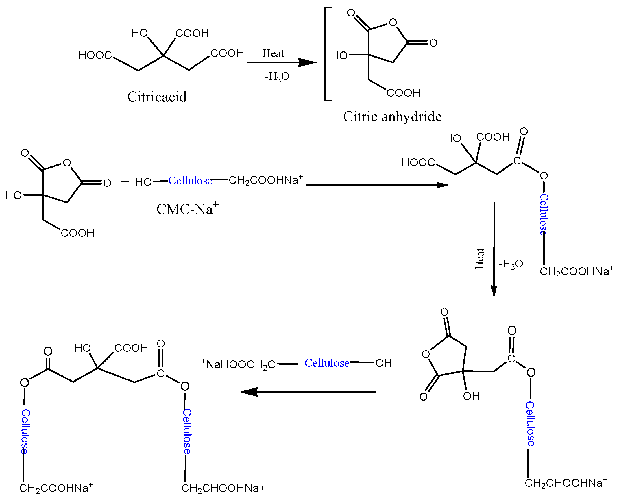 Polymers 16 02183 sch001