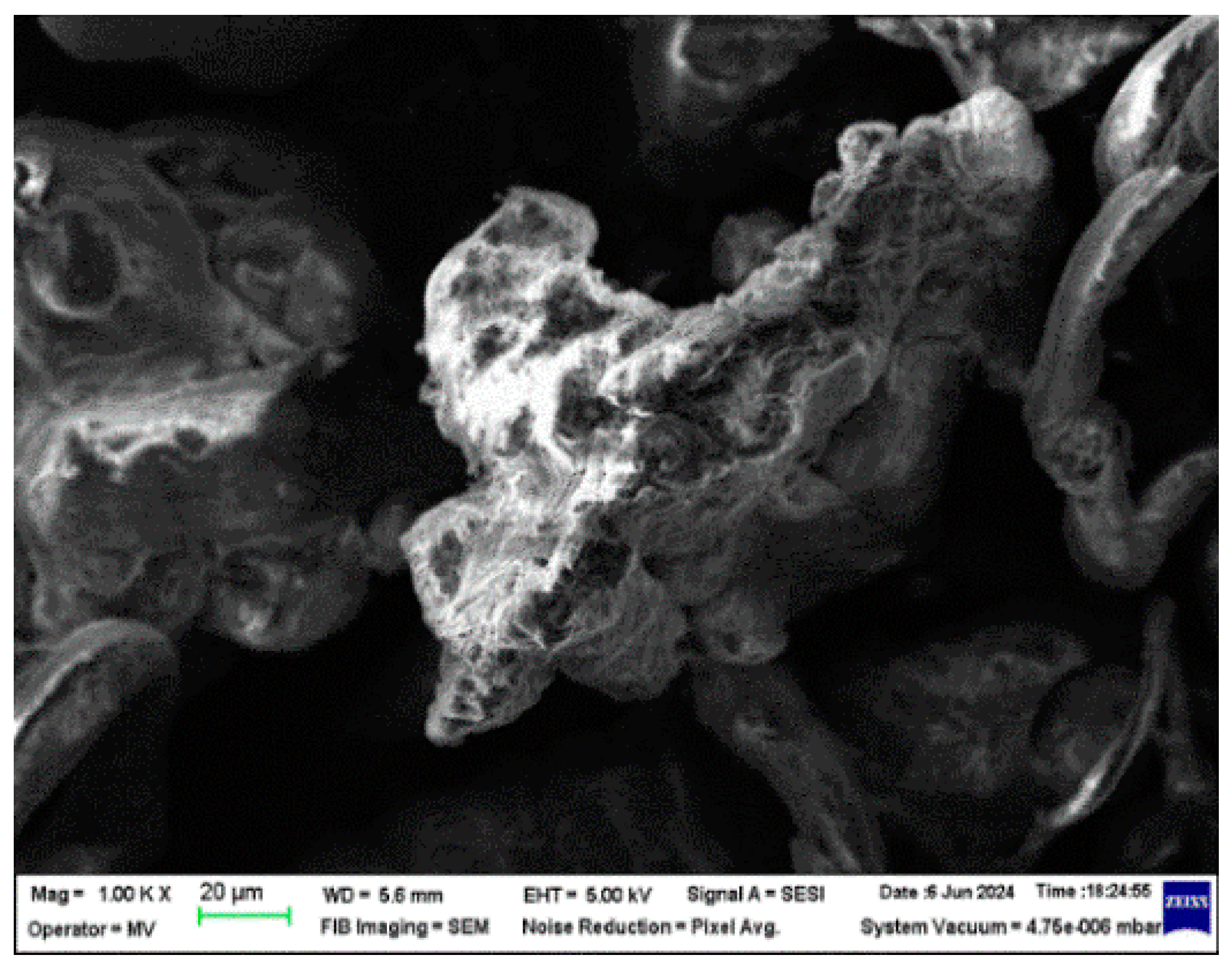 Polymers 16 02188 g002