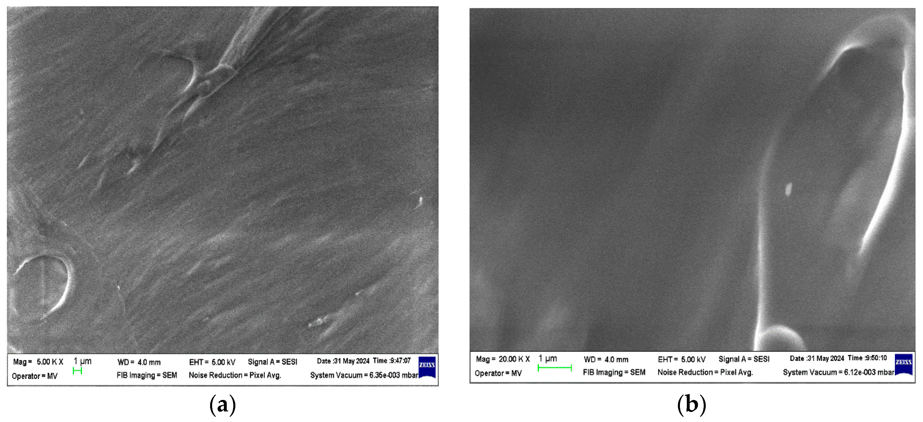 Polymers 16 02188 g003