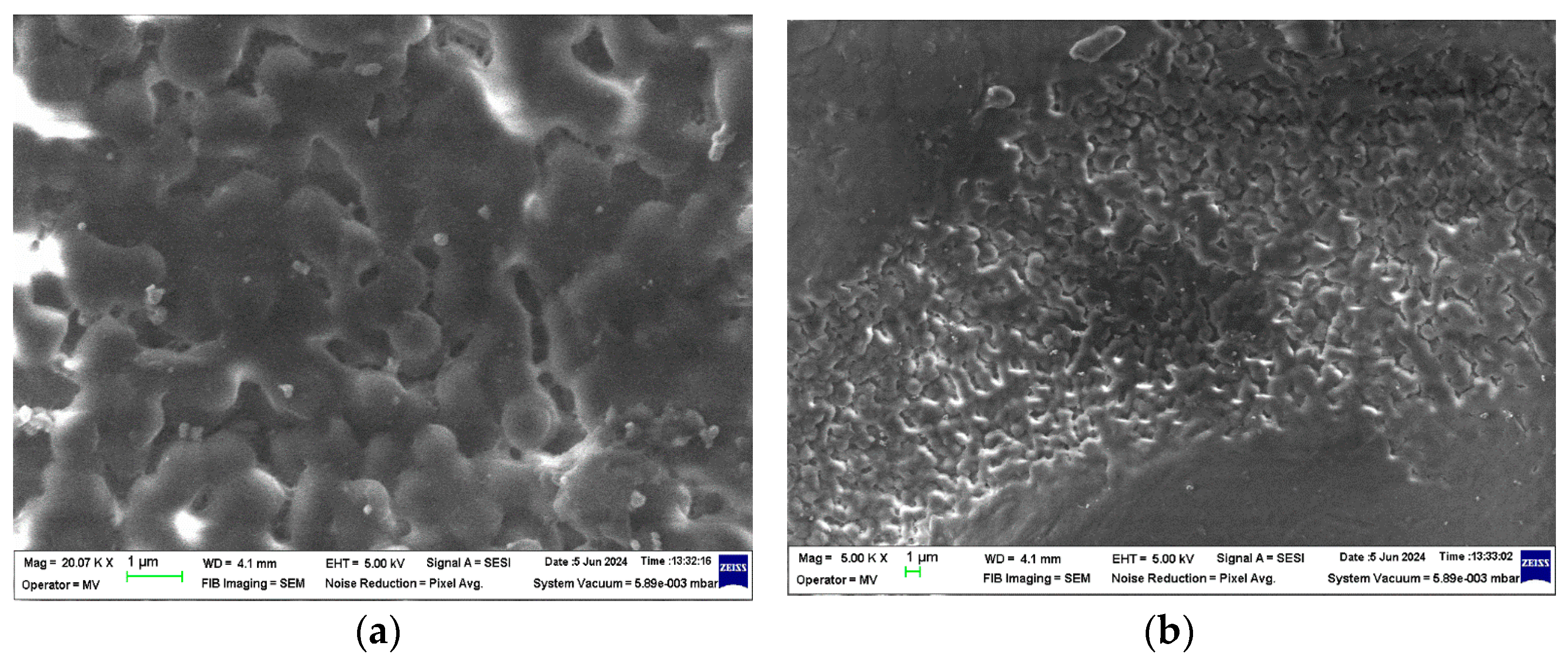 Polymers 16 02188 g004