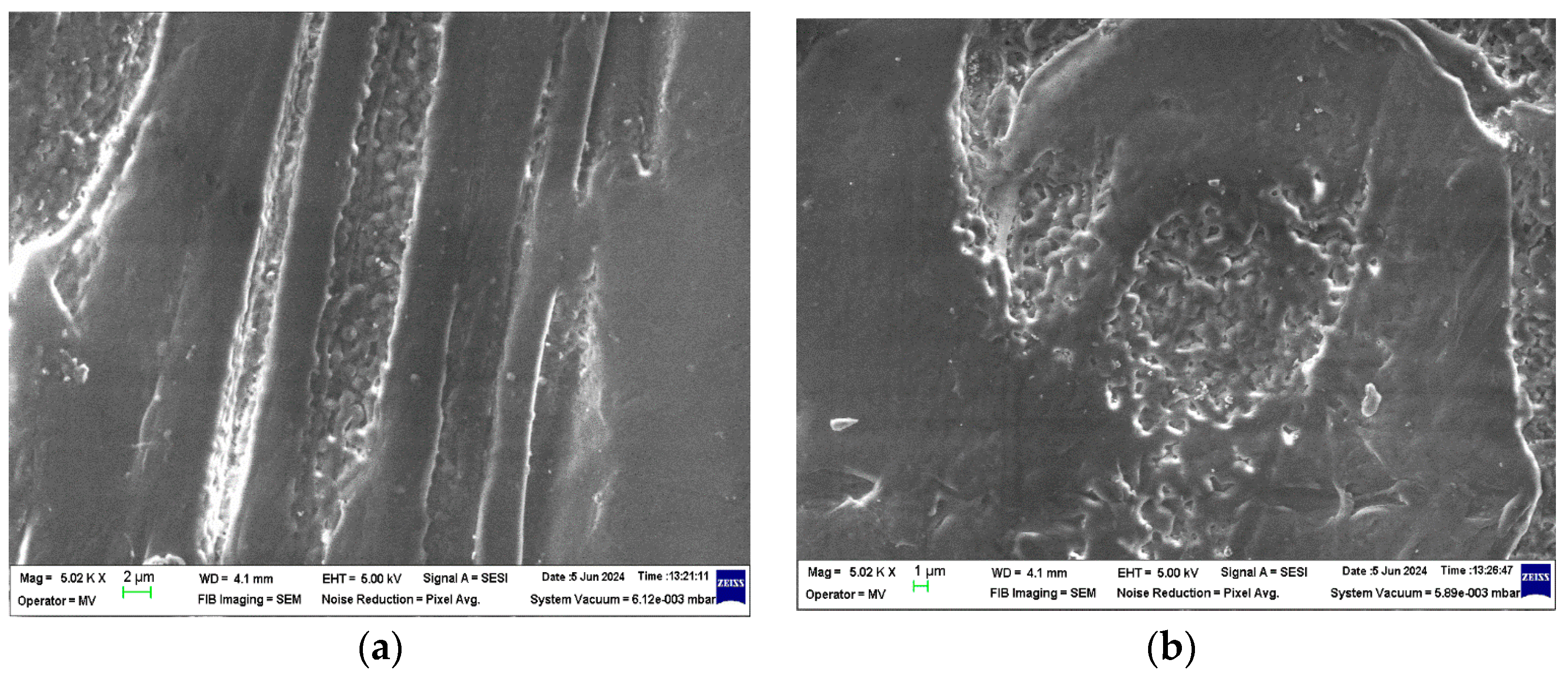 Polymers 16 02188 g005