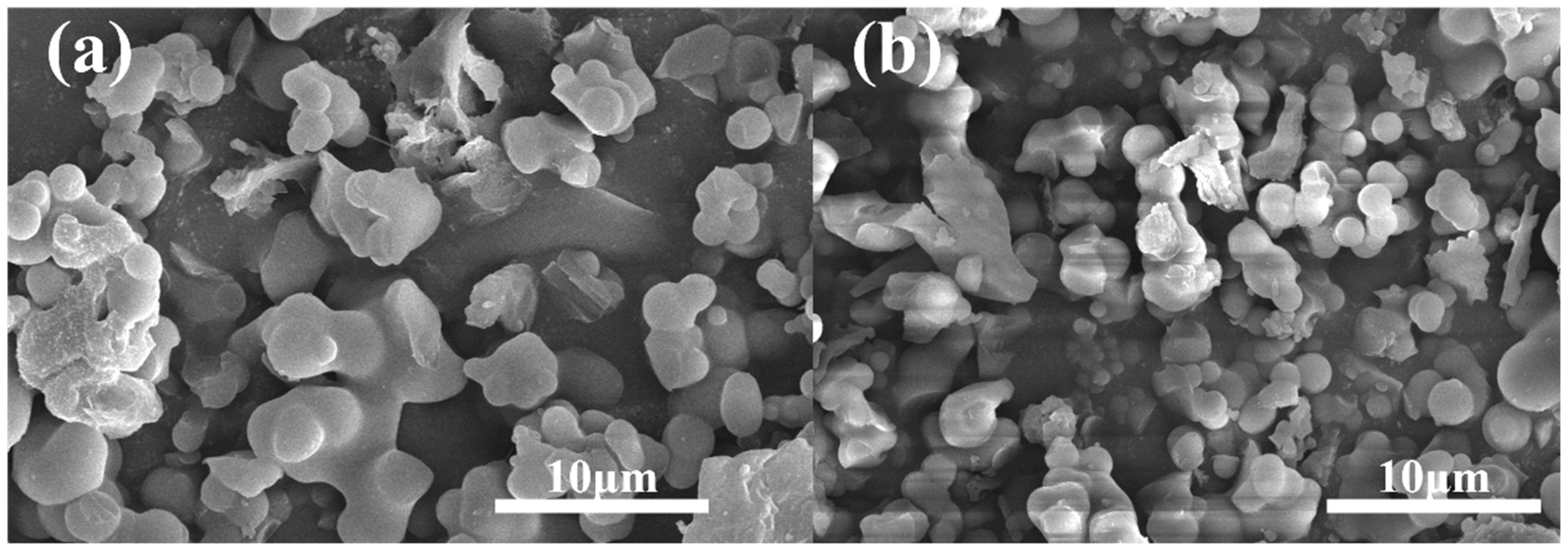 Polymers 16 02208 g005 Polymers 16 02208 g005