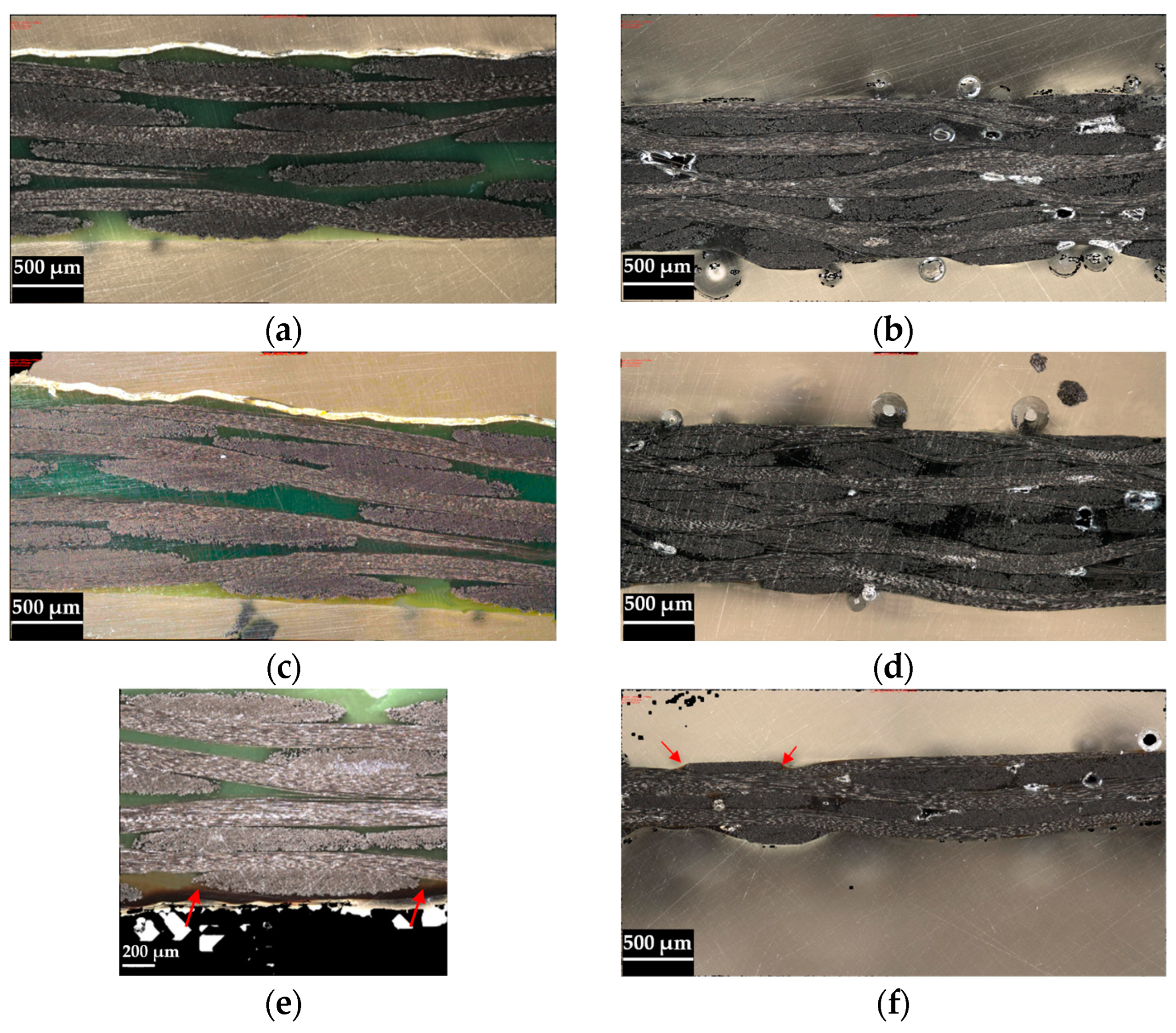 Polymers 16 02216 g008