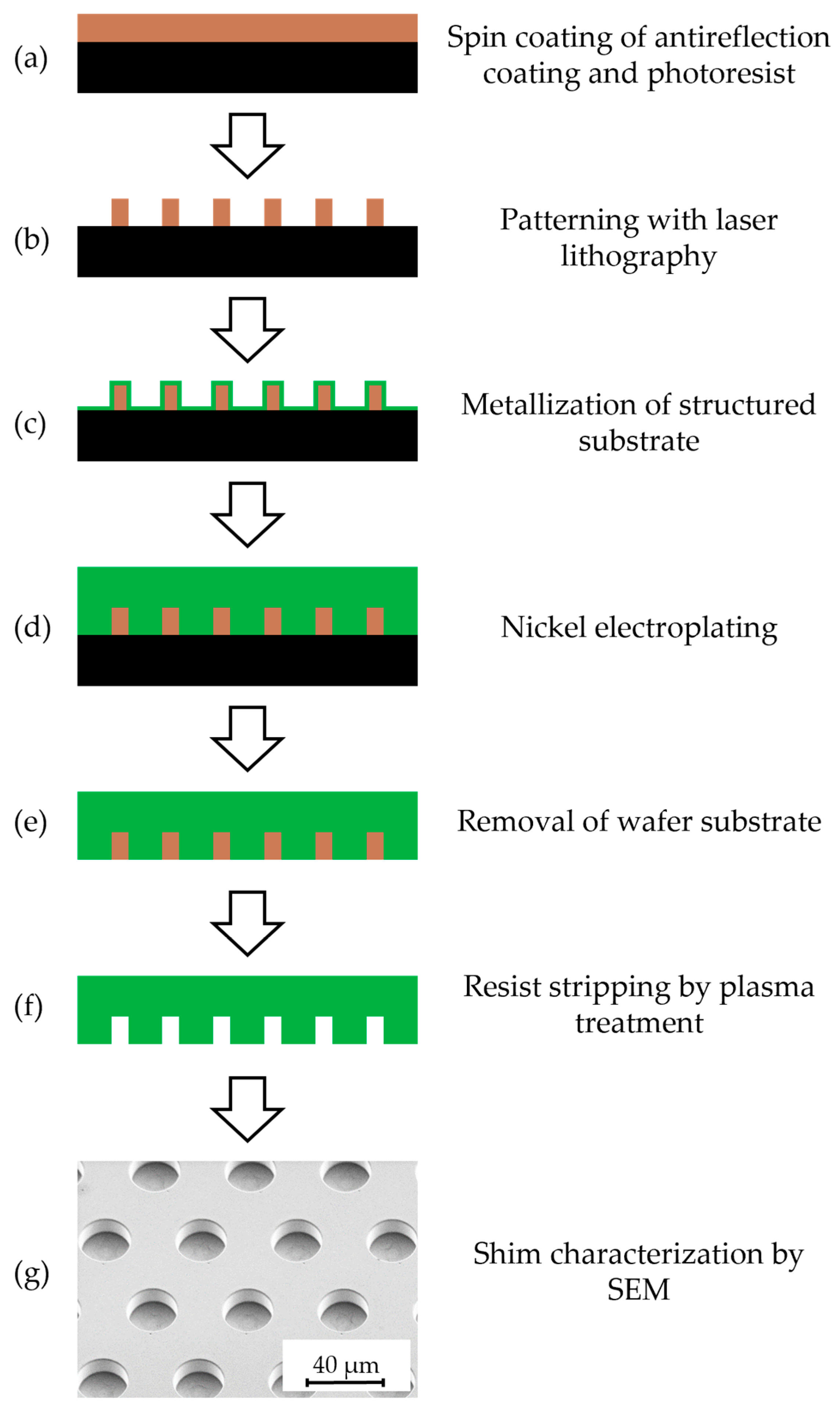 Polymers 16 02218 g002