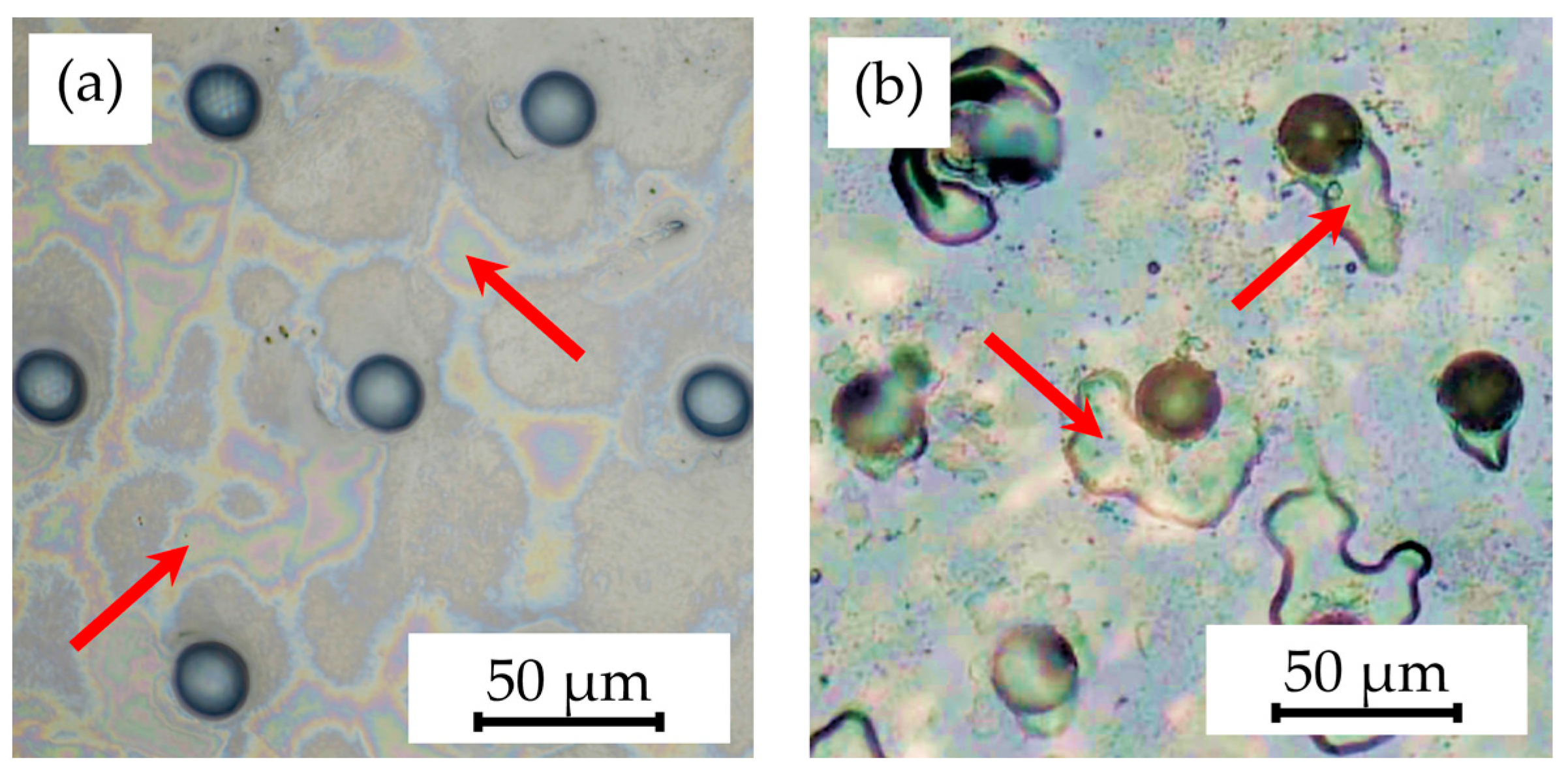Polymers 16 02218 g012