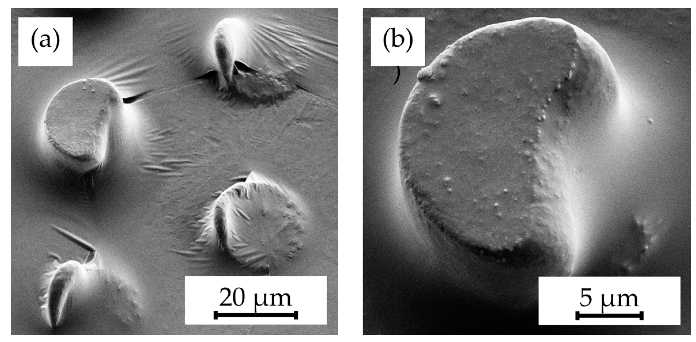Polymers 16 02218 g013