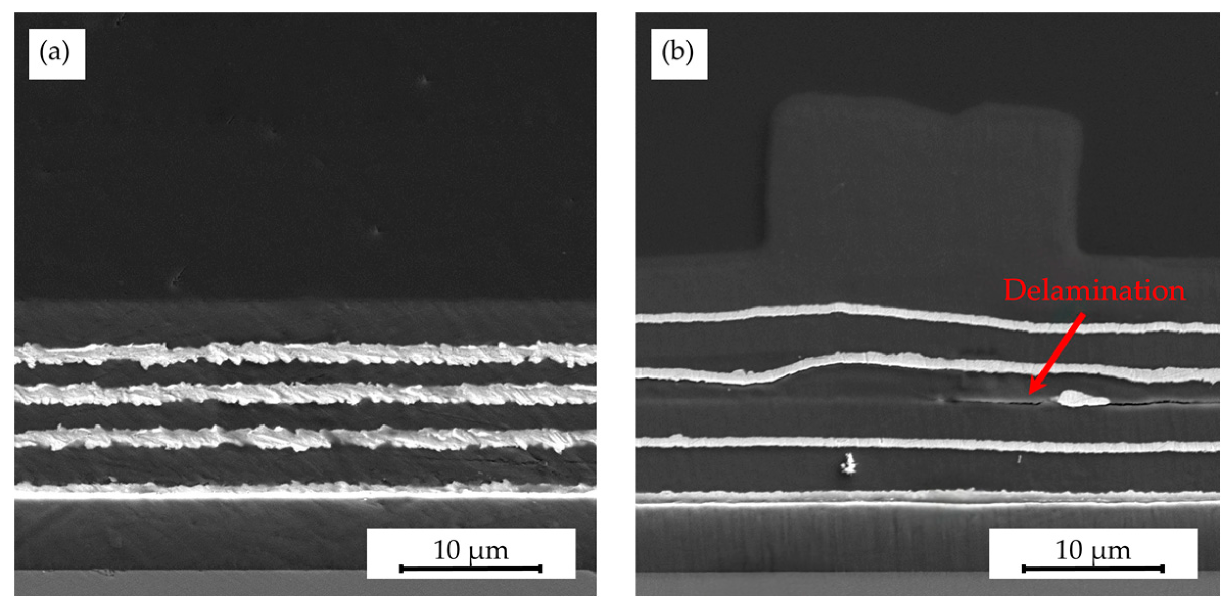 Polymers 16 02218 g016