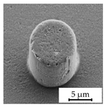 Polymers 16 02218 i001