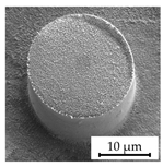 Polymers 16 02218 i002