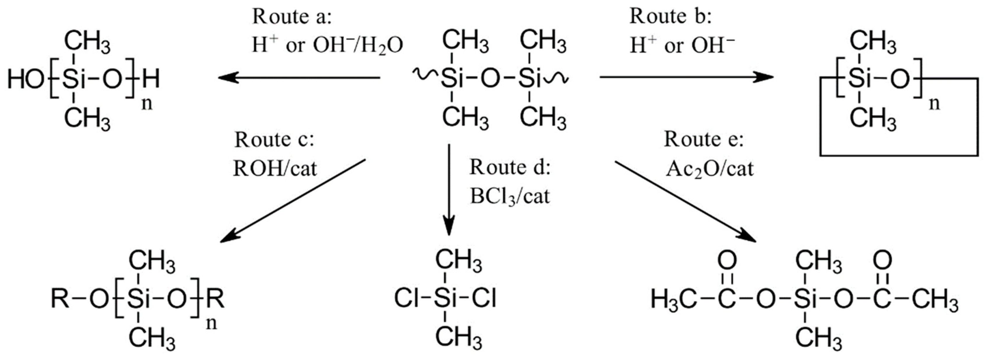 Polymers 16 02220 g010