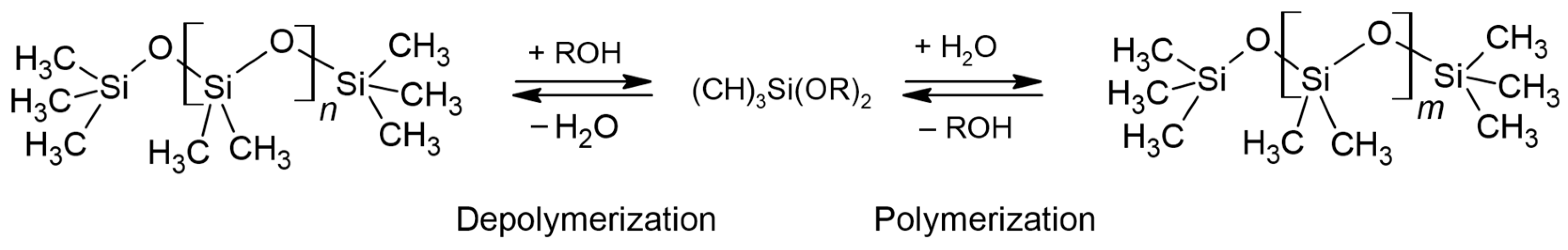 Polymers 16 02220 g012