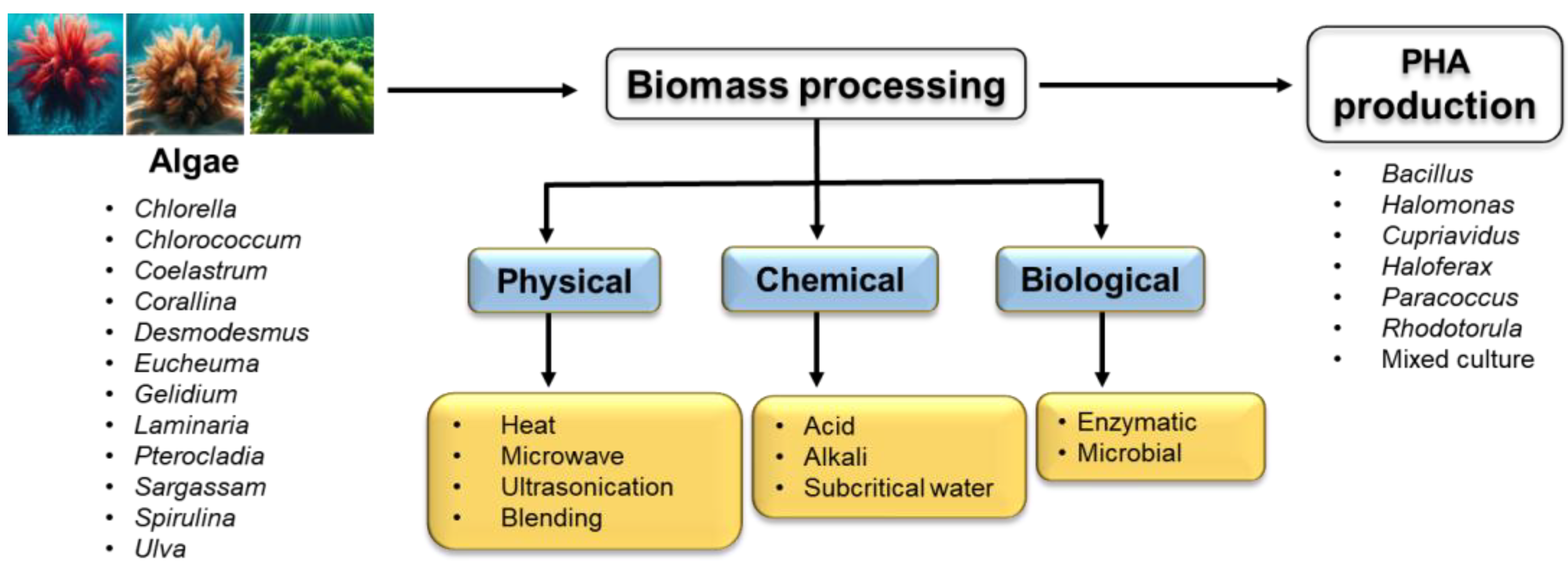 Polymers 16 02227 g001