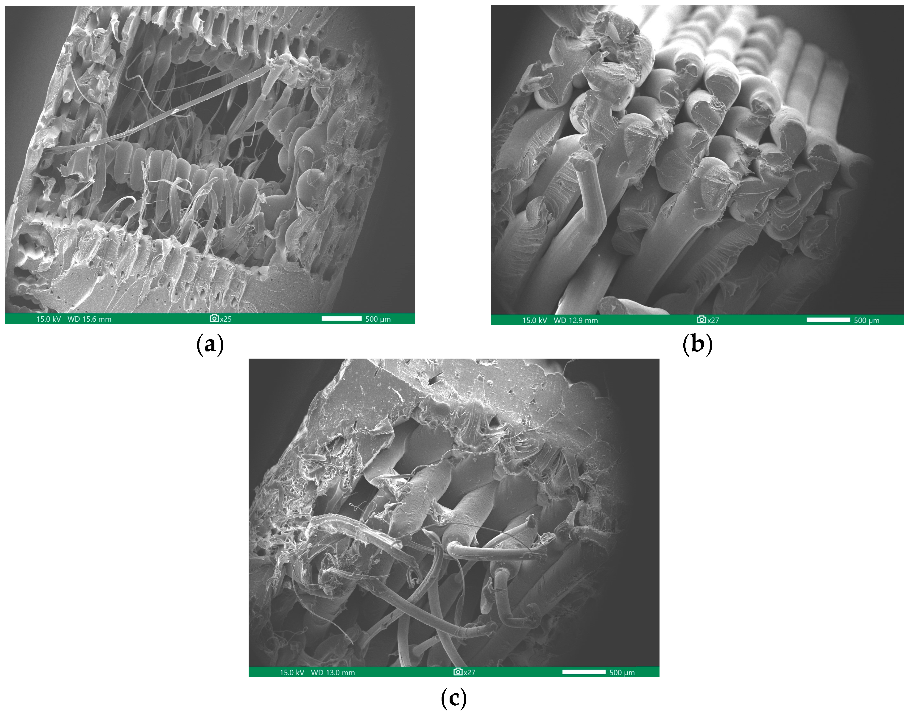 Polymers 16 02324 g009 Polymers 16 02324 g009