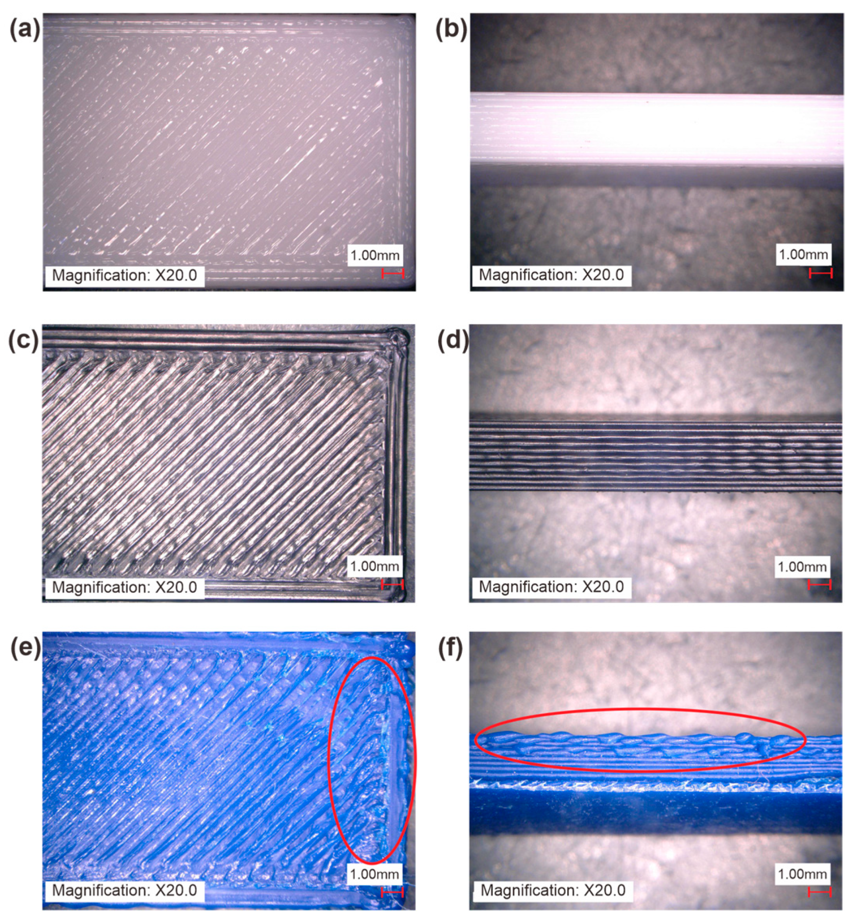 Polymers 16 02324 g011 Polymers 16 02324 g011