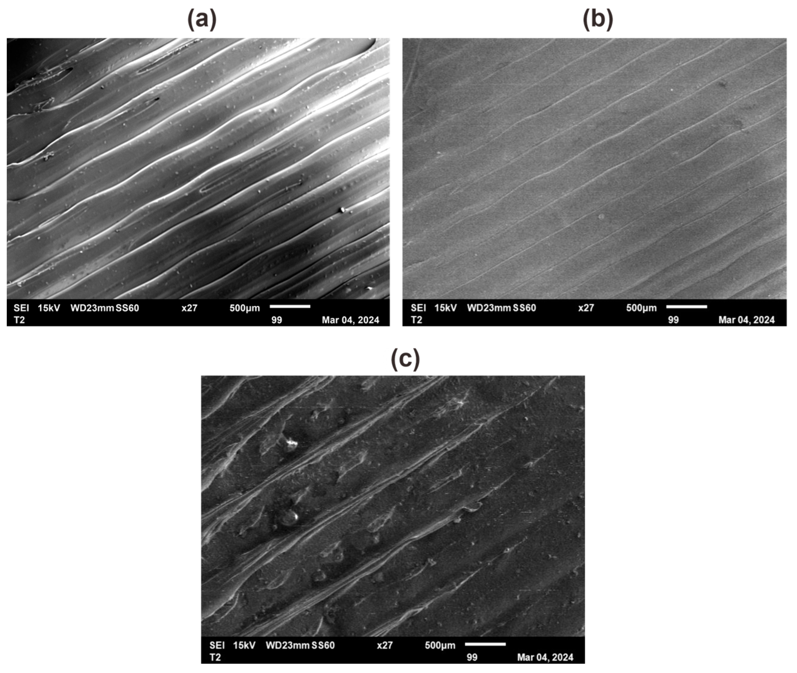 Polymers 16 02324 g012 Polymers 16 02324 g012