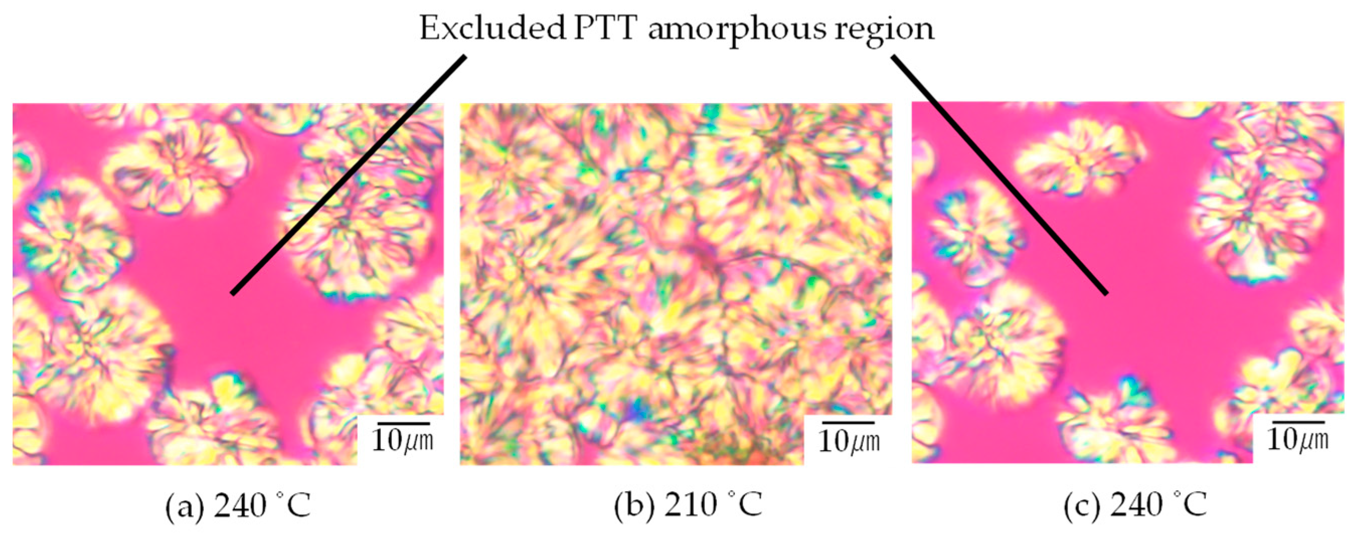 Polymers 16 02332 g002