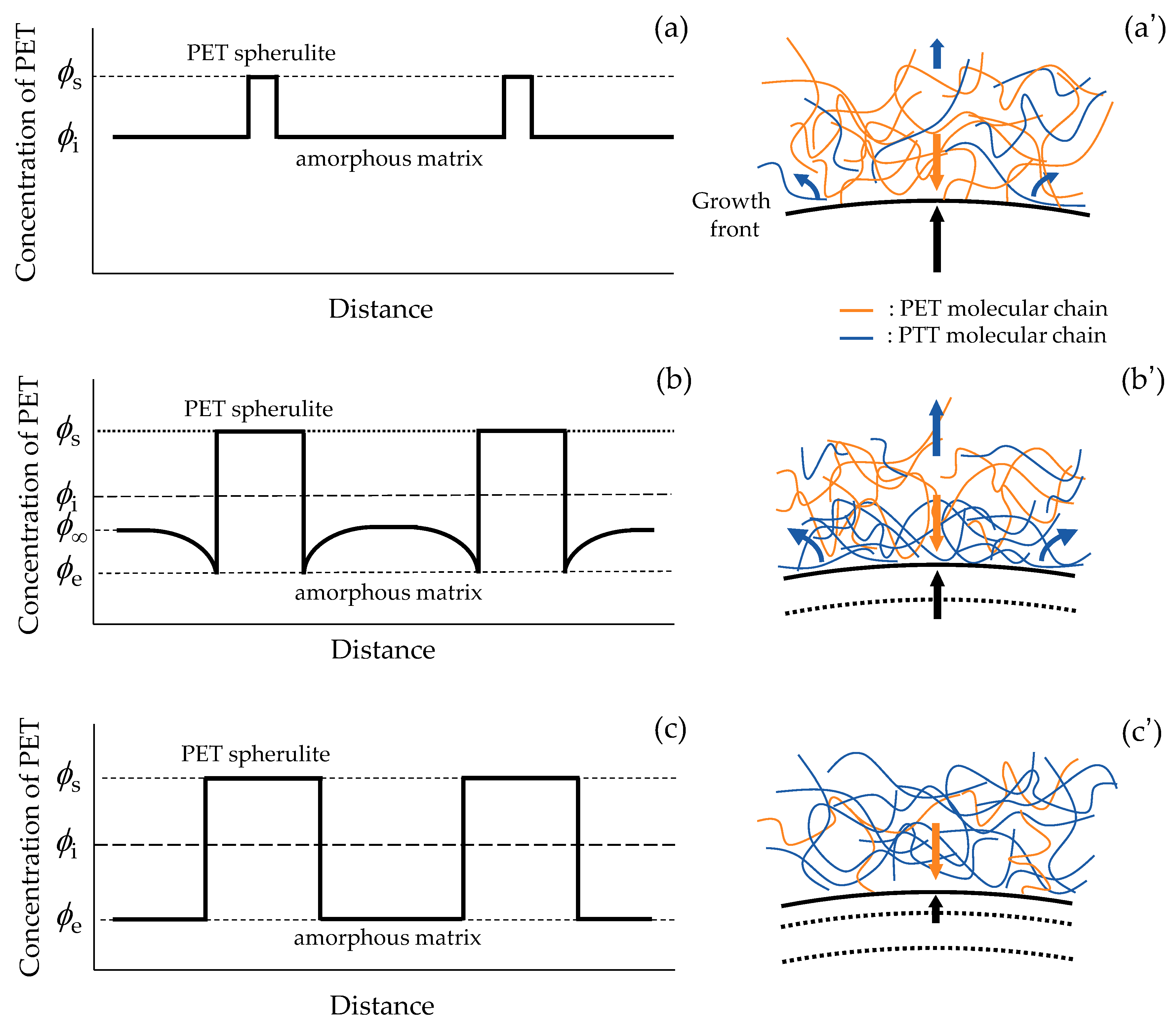 Polymers 16 02332 g005