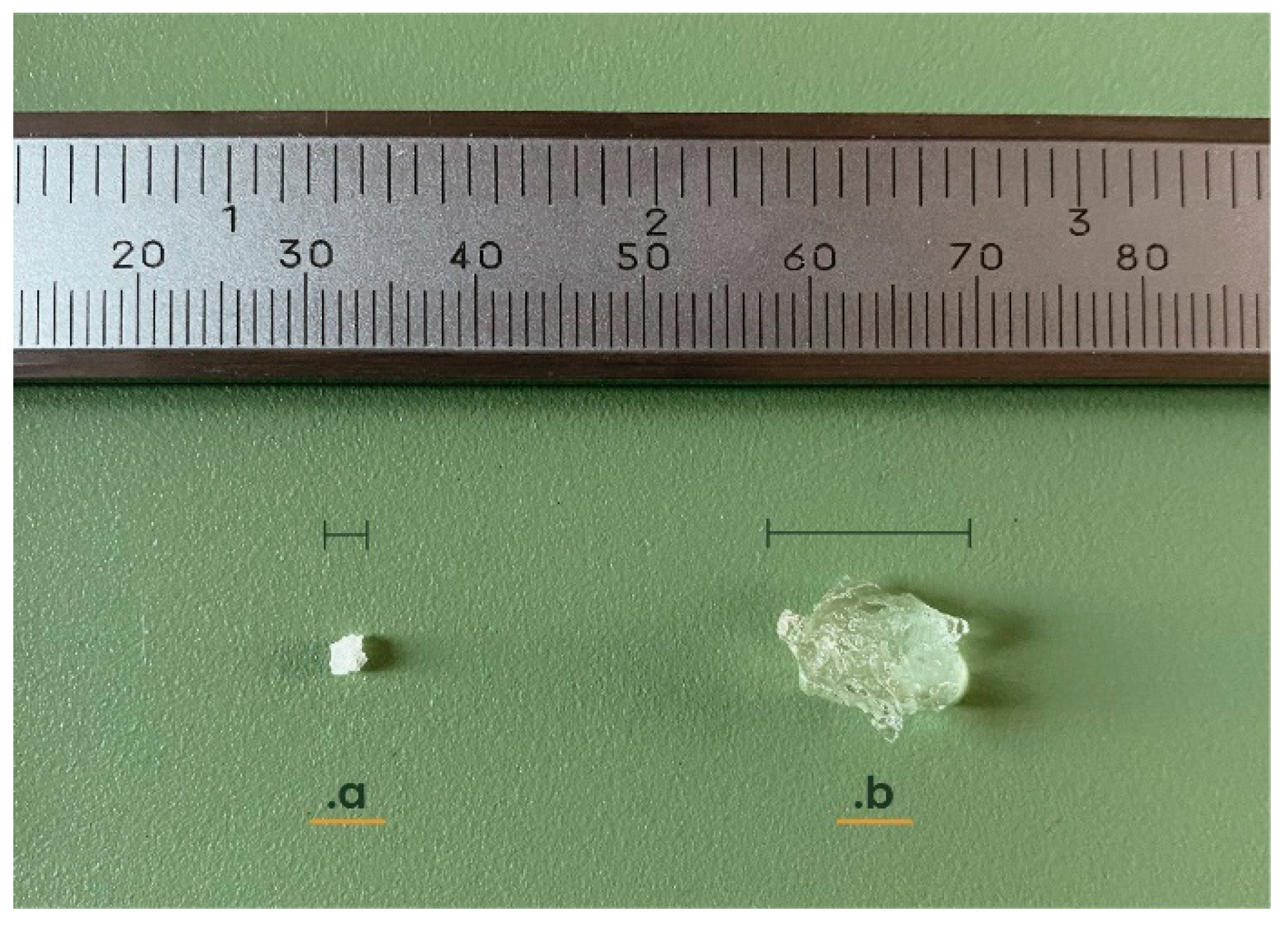 Polymers 16 02337 g001