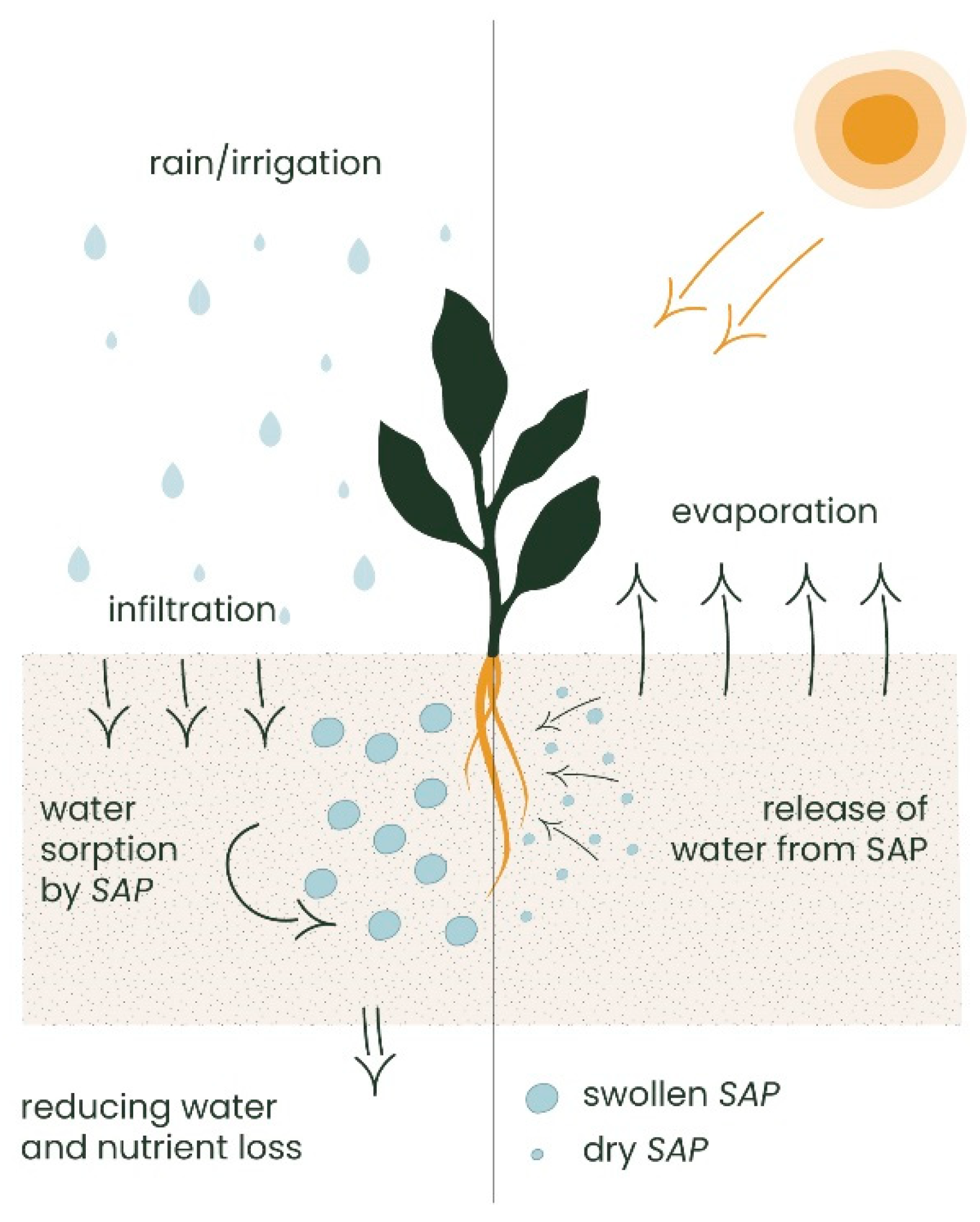 Polymers 16 02337 g005