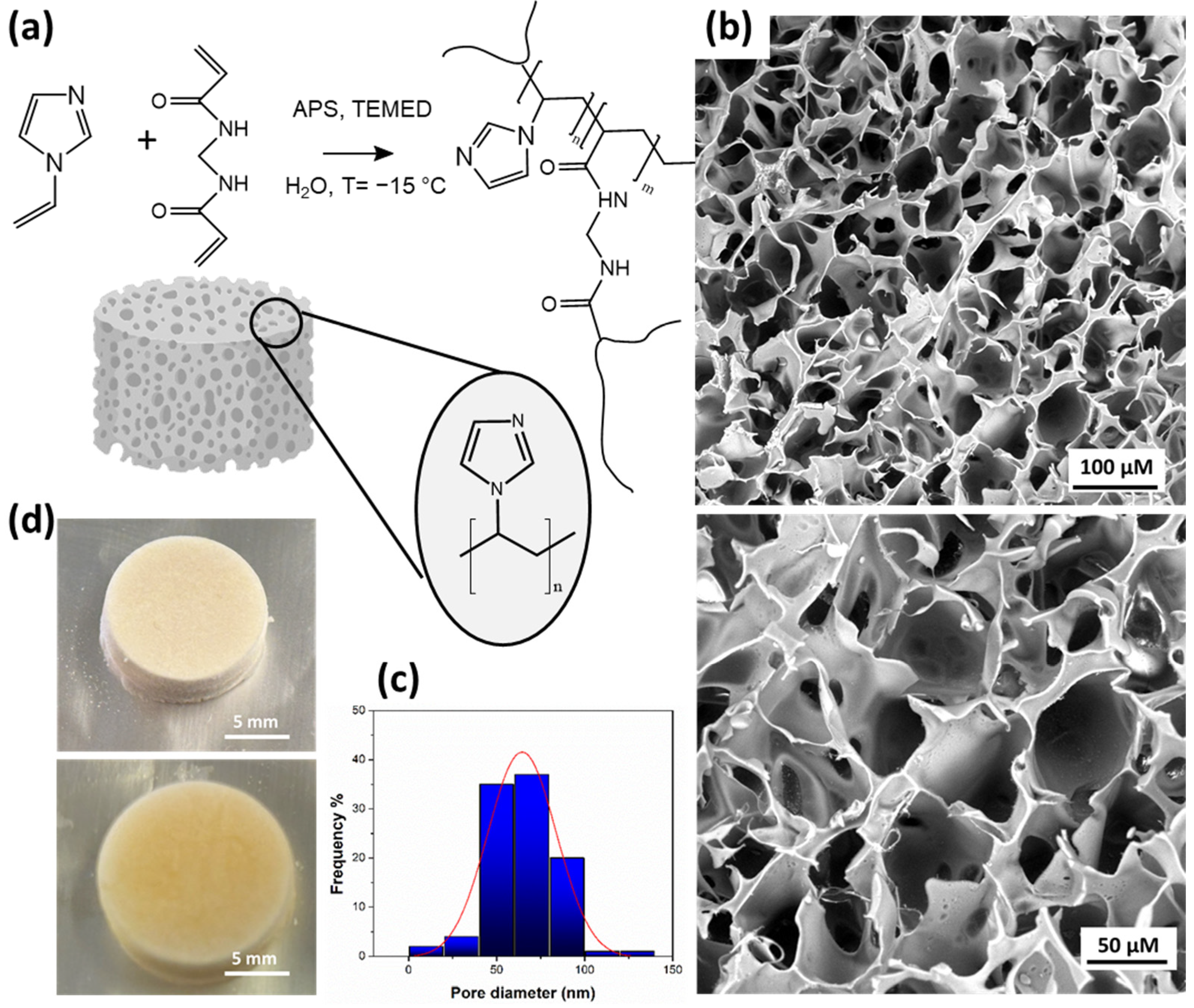 Polymers 16 02339 g001